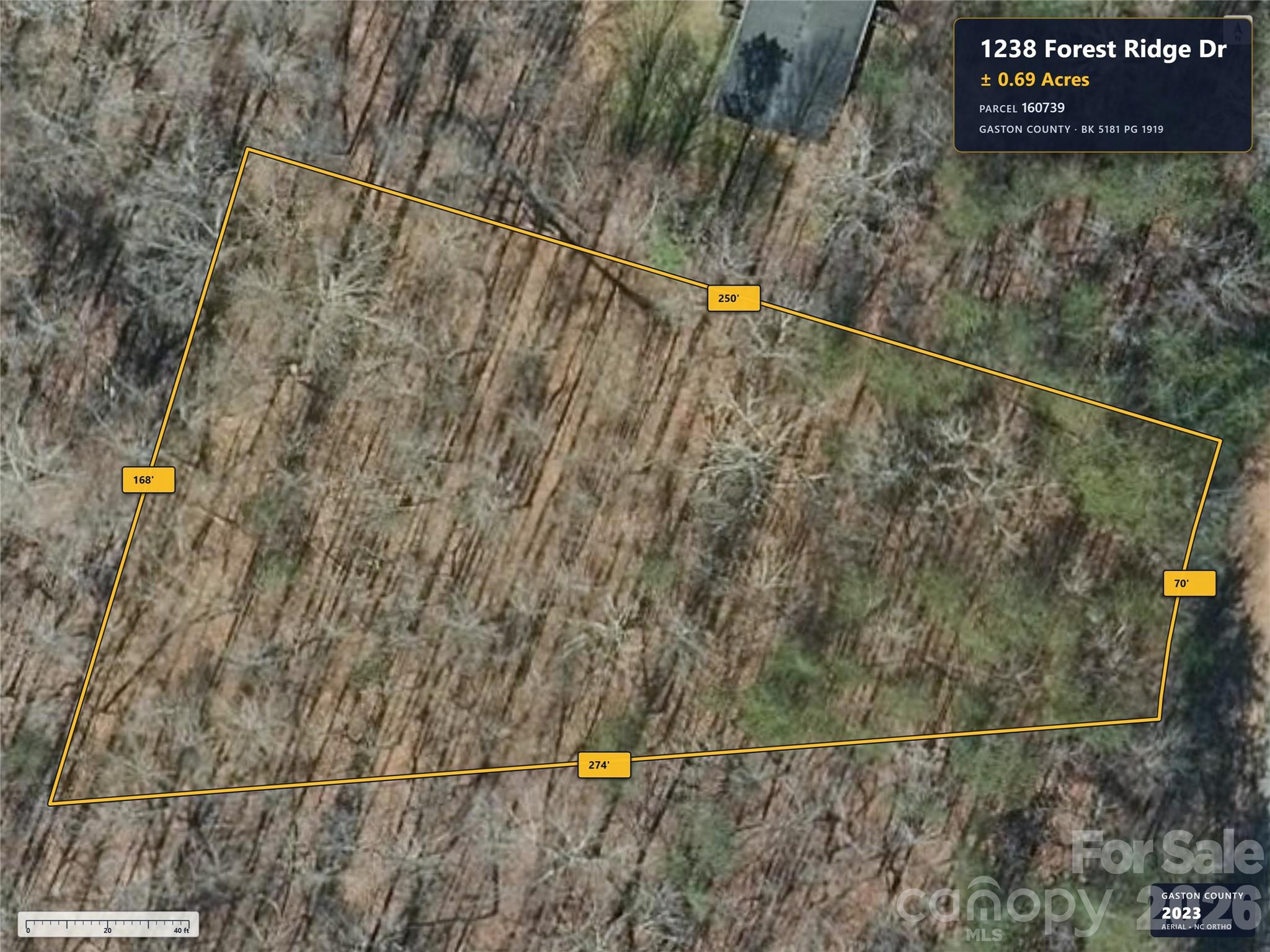 1238 Forest Ridge Drive Property Photo 1