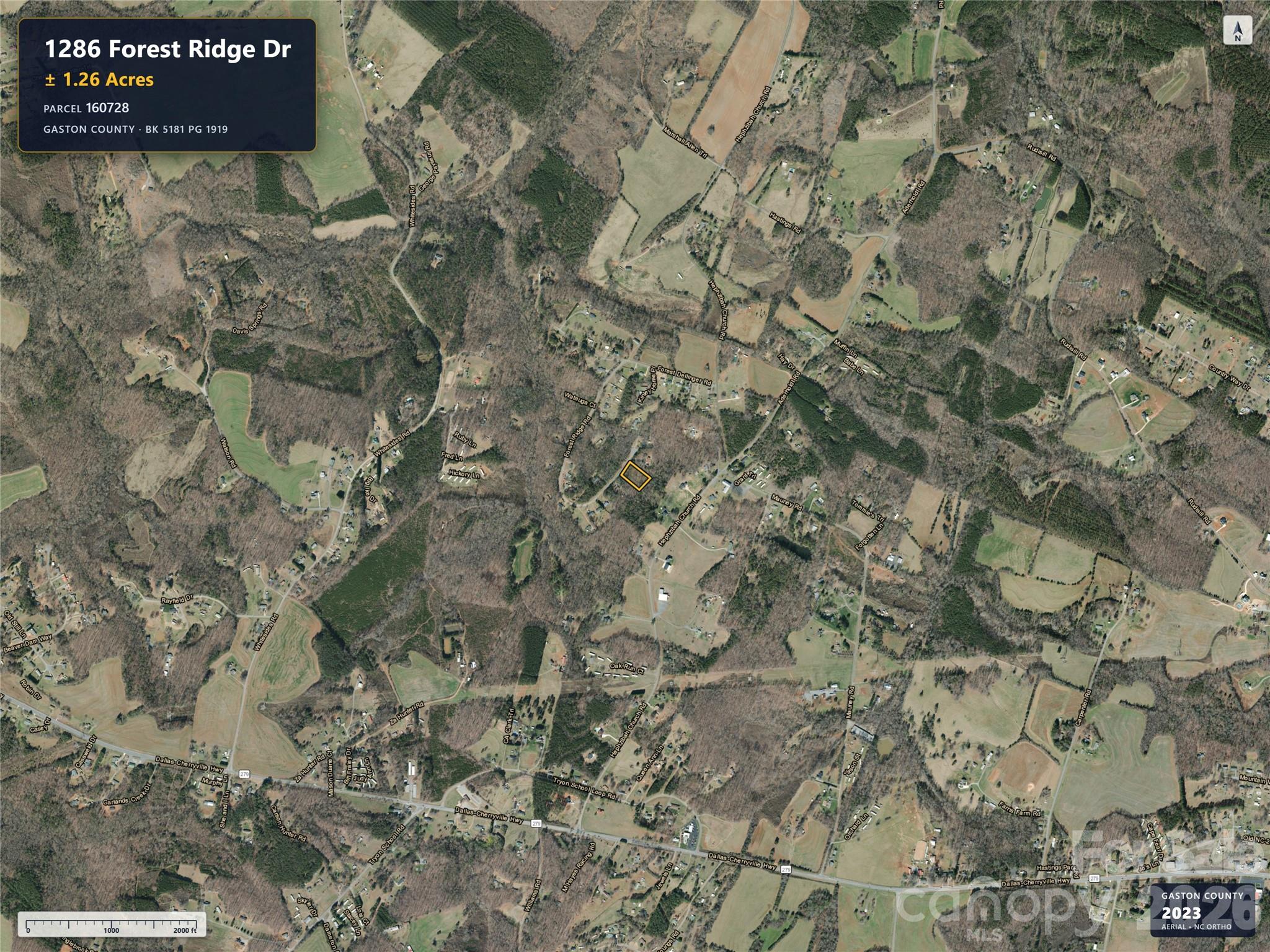 1286 Forest Ridge Drive Property Photo 4
