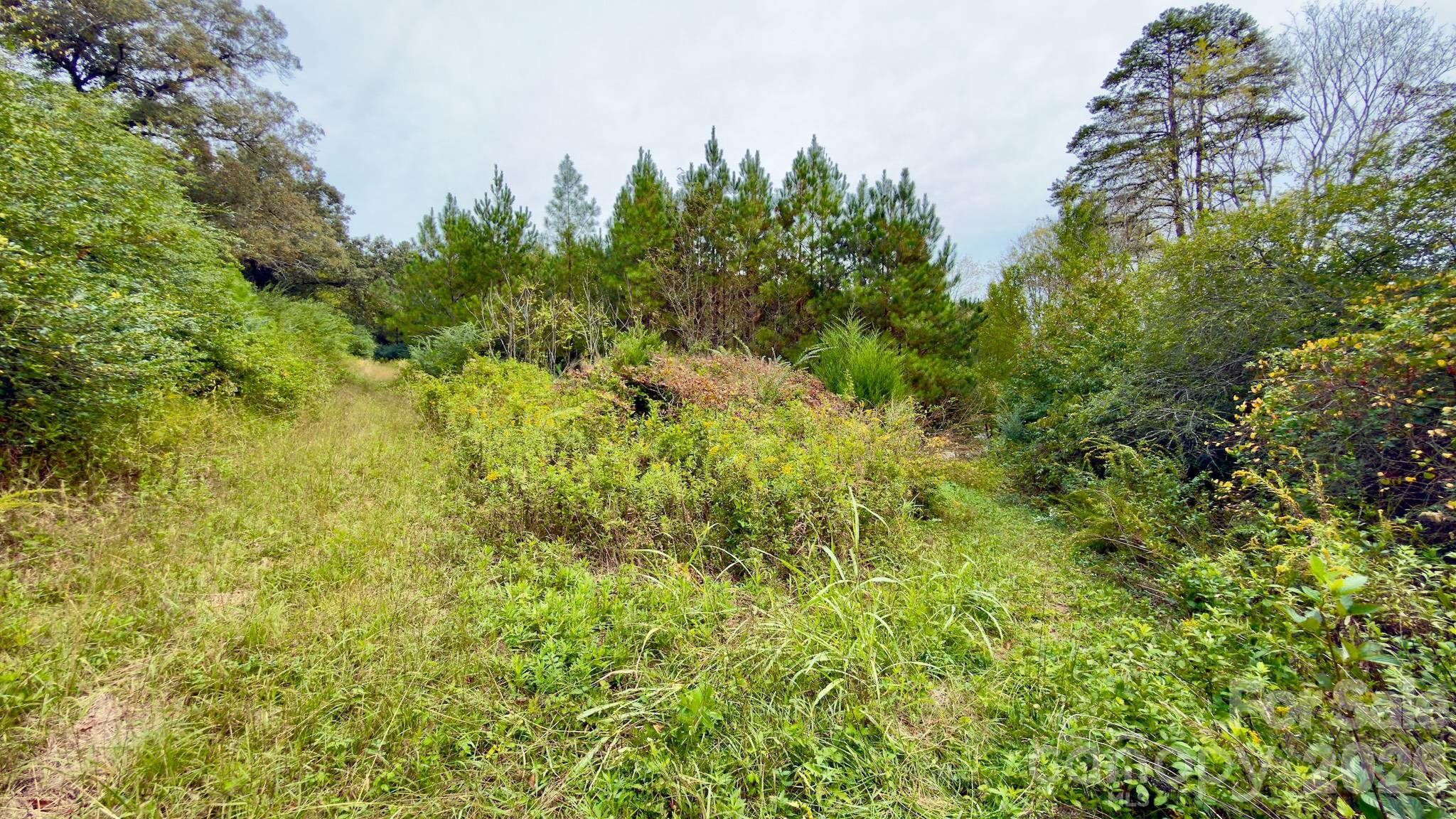 0 St Martin Road Property Photo 12
