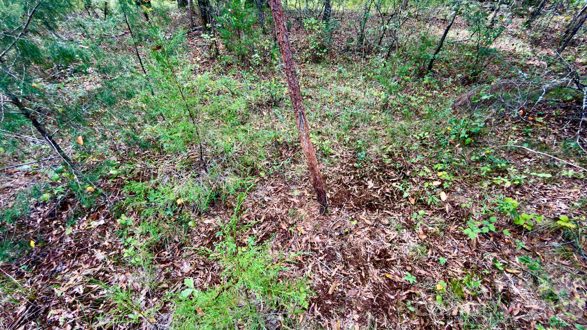 0 St Martin Road Property Photo 25