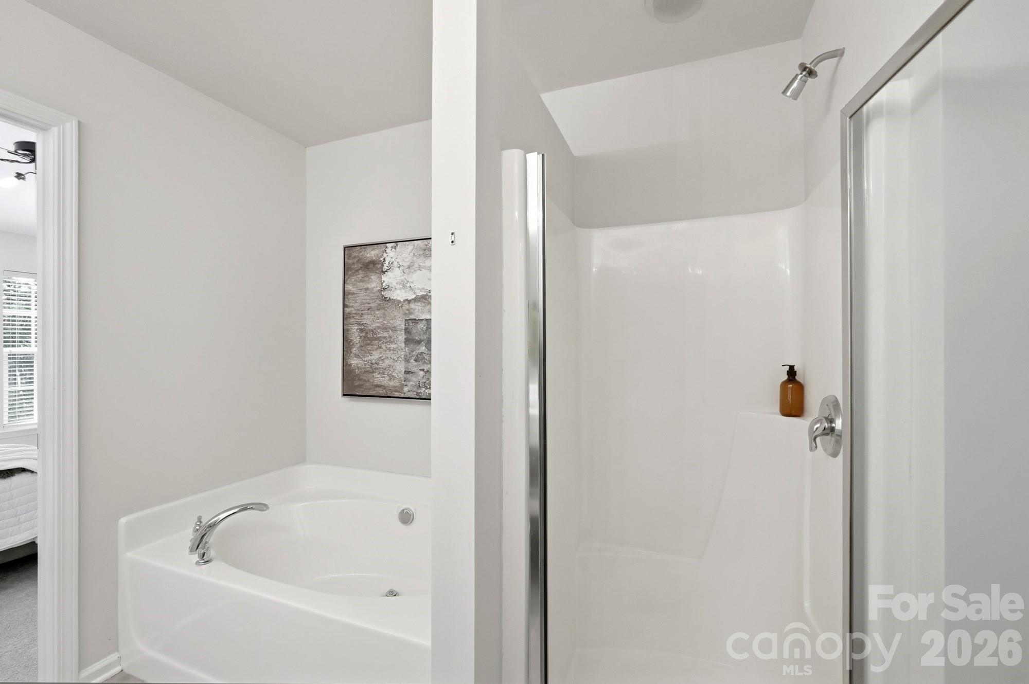 9247 Mcalwaine Preserve Avenue Property Photo 24