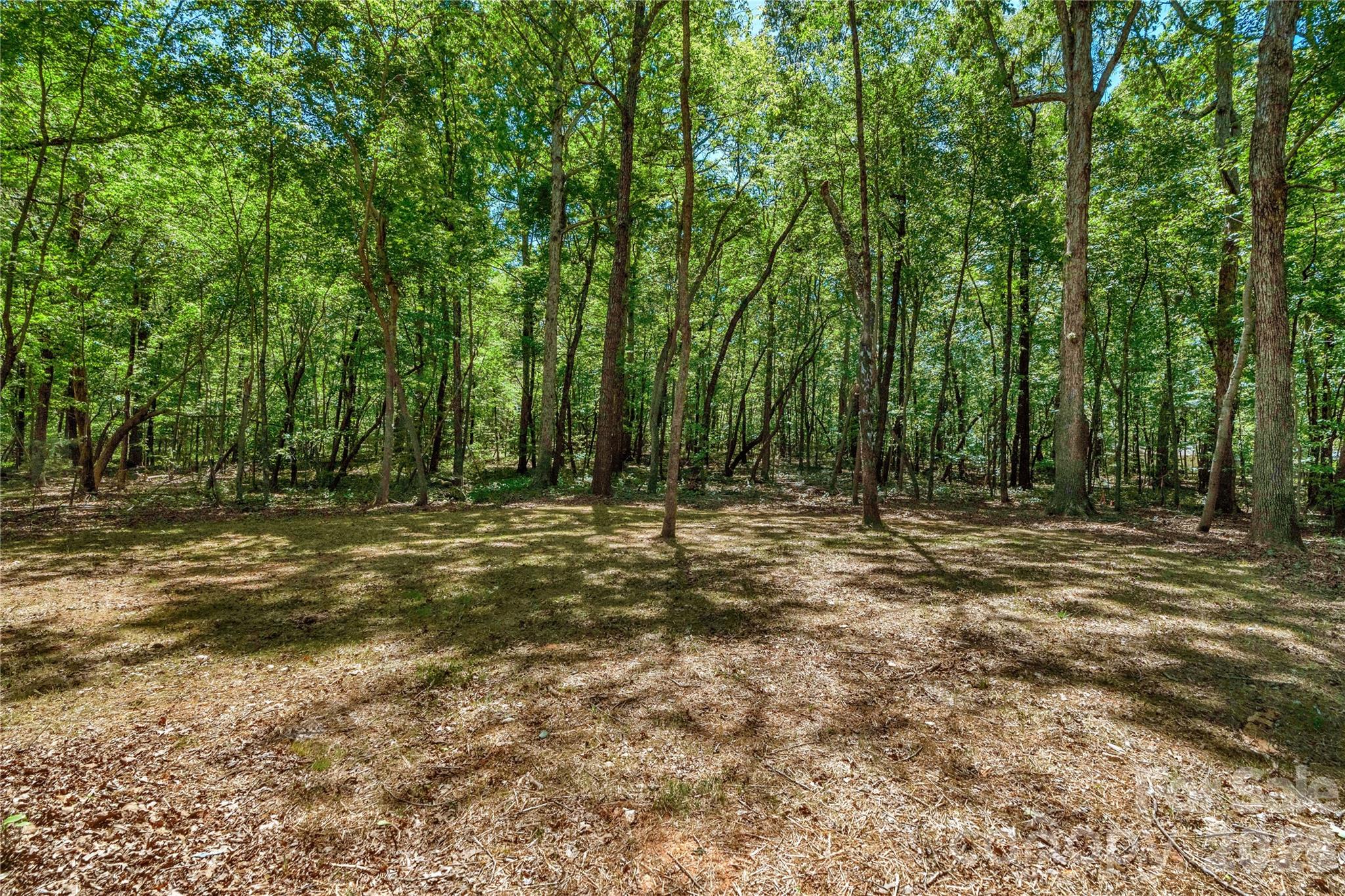 5624 Tipton Road Property Photo 44