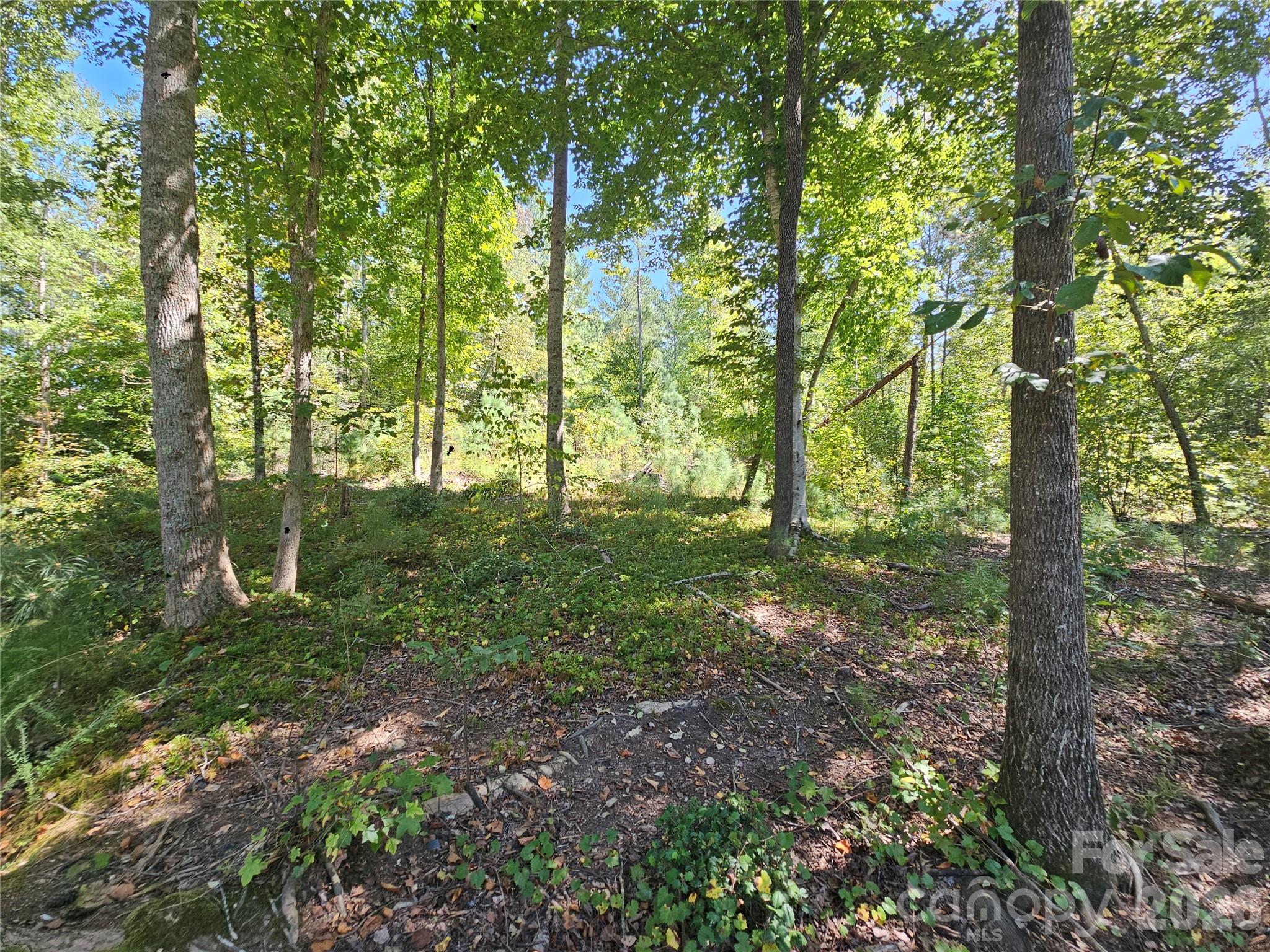 2071 Ellingwood Point 122 Property Photo 43