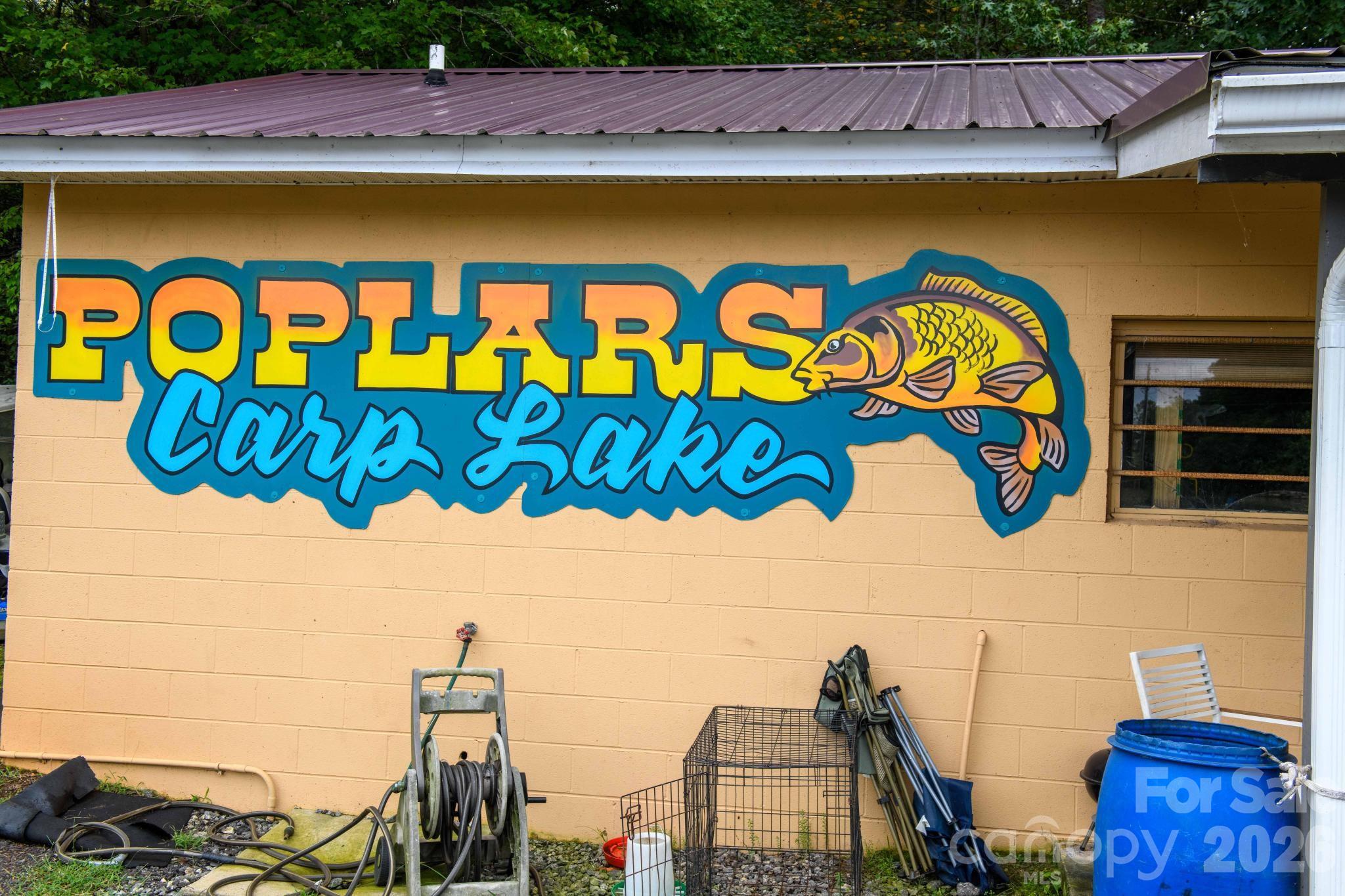 4243 Poplar Lake Drive Property Photo 3