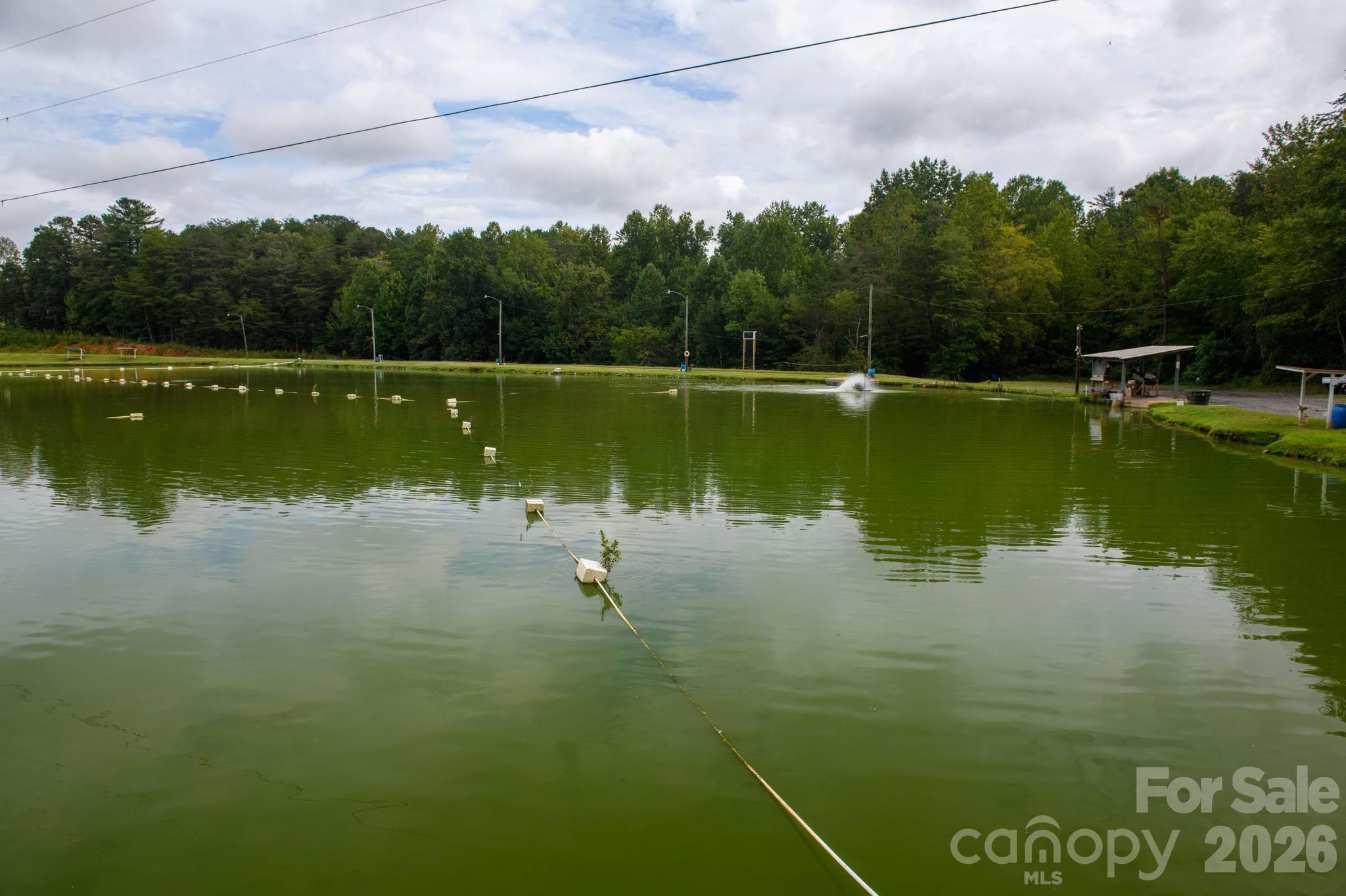 4243 Poplar Lake Drive Property Photo 6