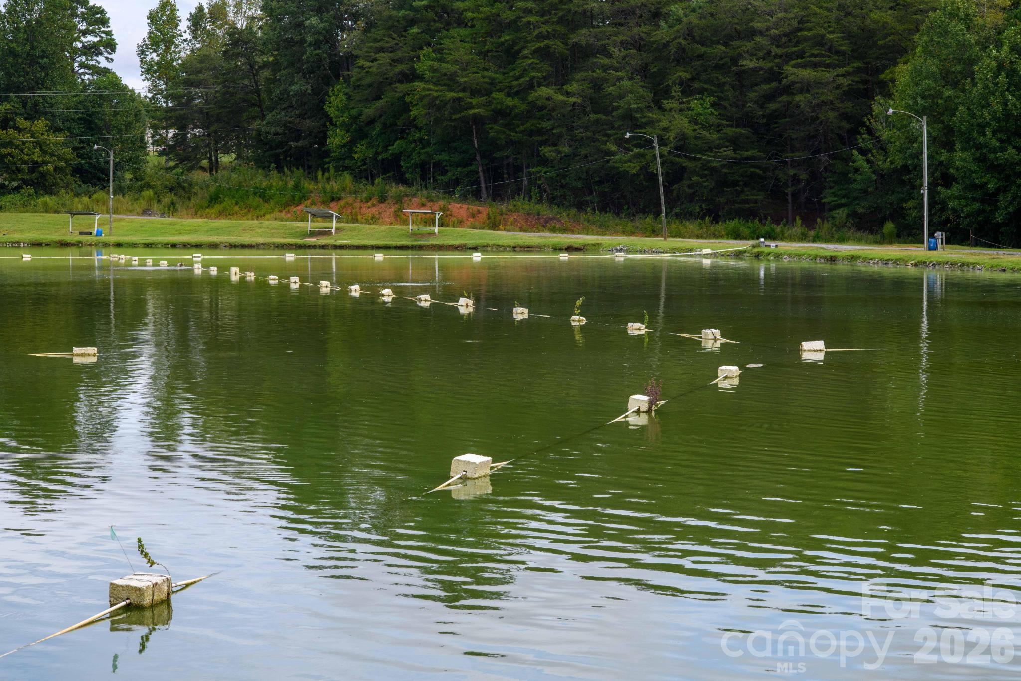 4243 Poplar Lake Drive Property Photo 10