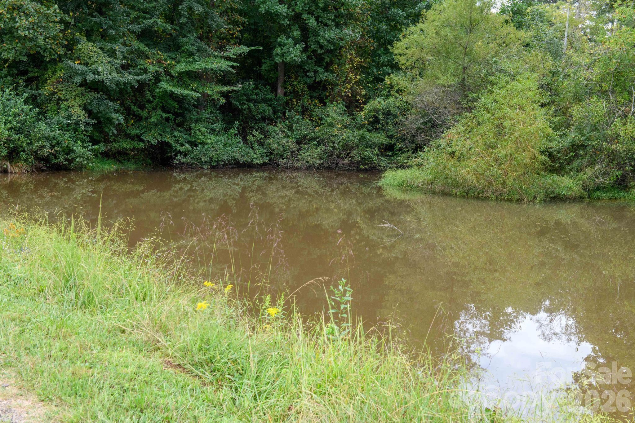4243 Poplar Lake Drive Property Photo 42