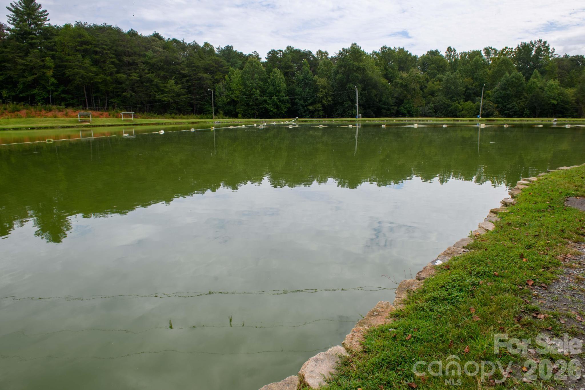 4243 Poplar Lake Drive Property Photo 43
