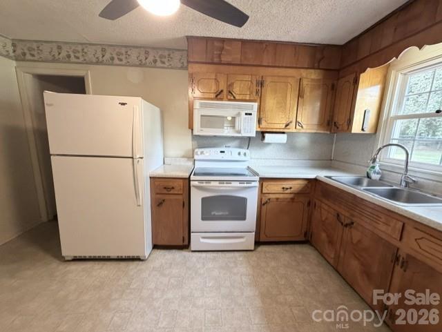 3307 Boat Club Road Property Photo 16