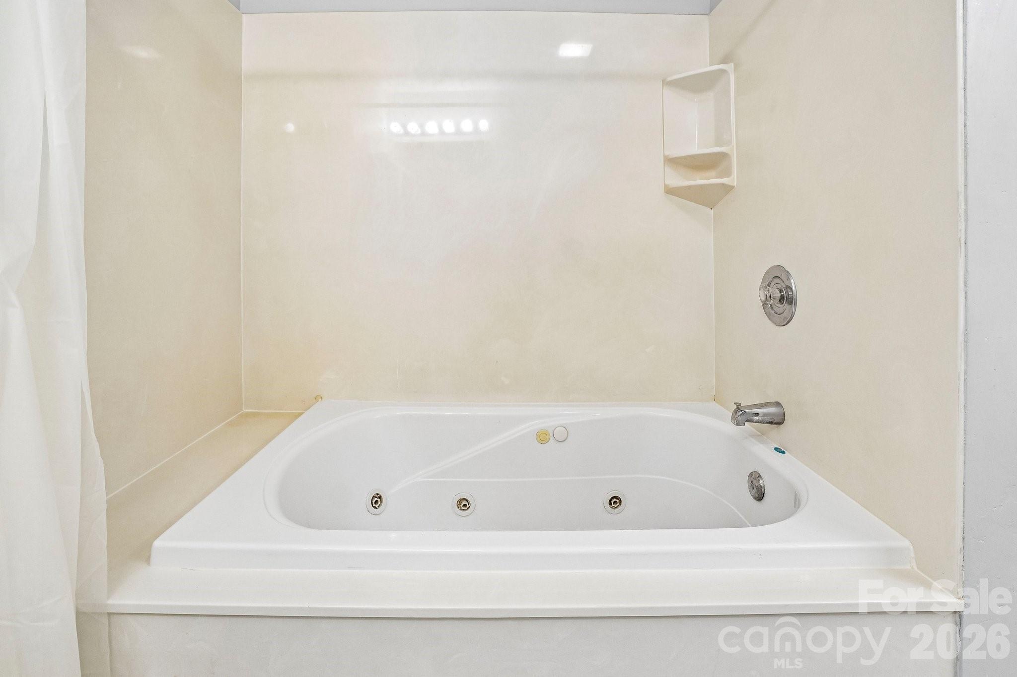 251 Angeline Drive Property Photo 26