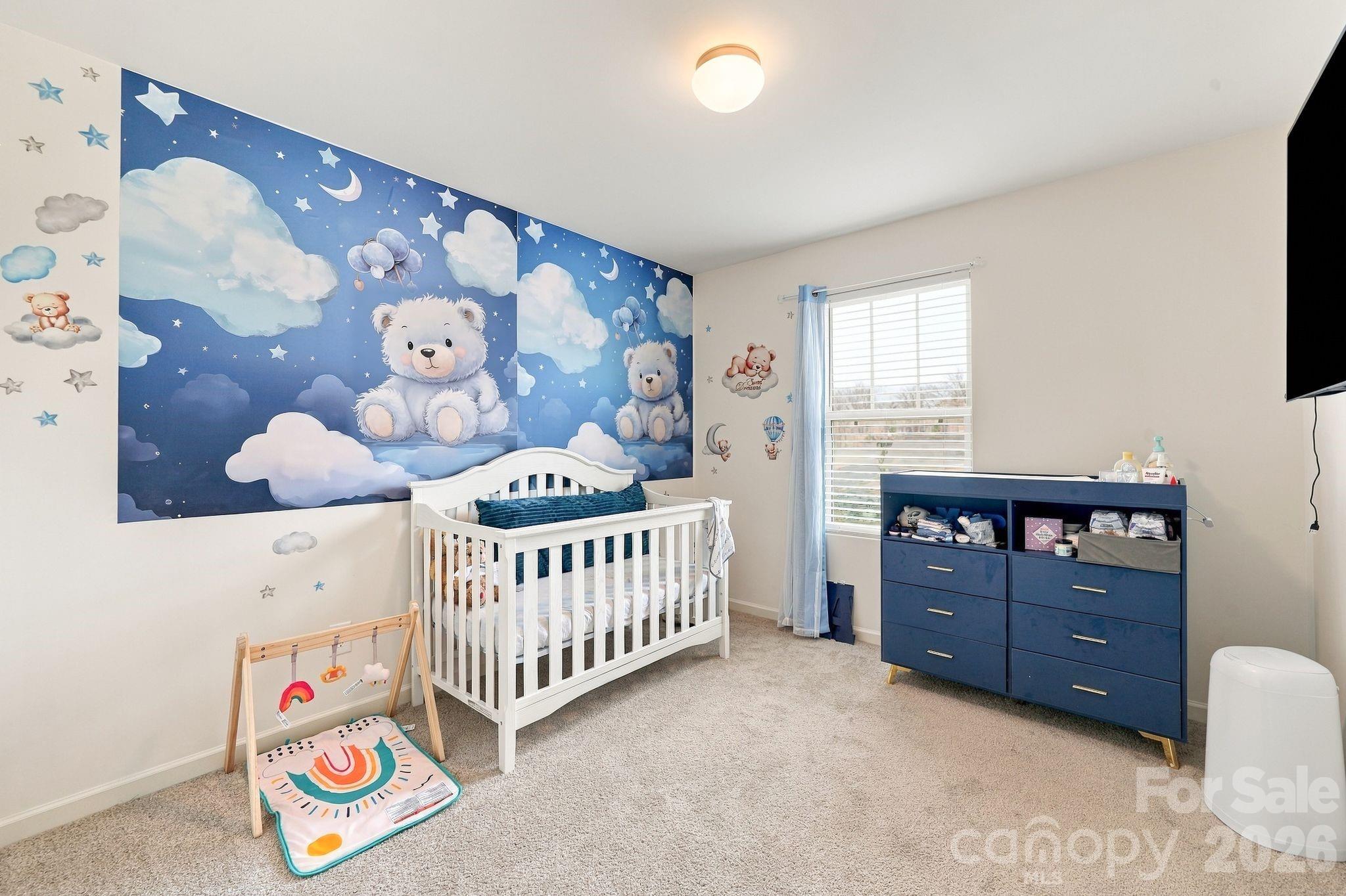111 Batten Ridge Drive Property Photo 19