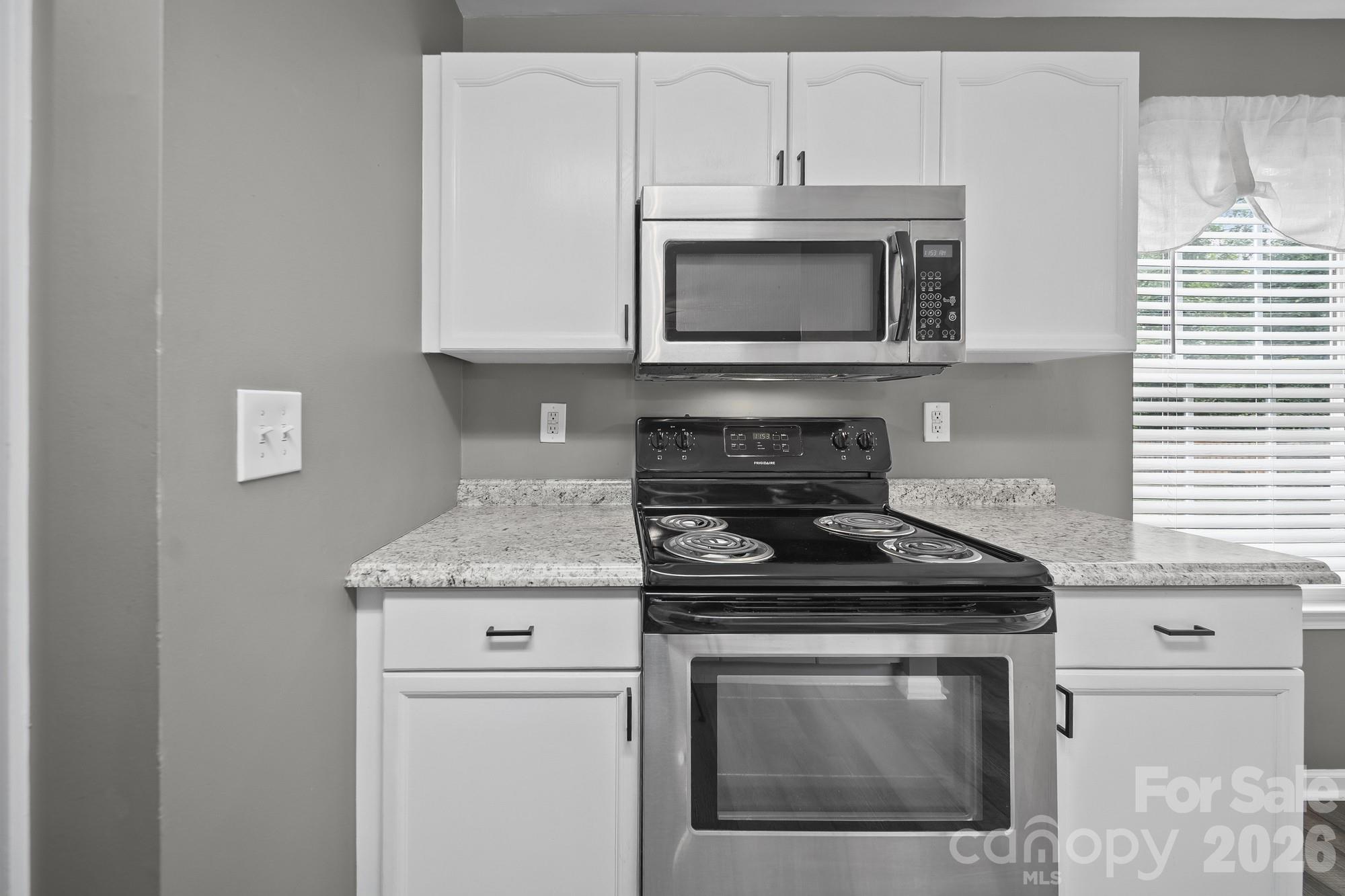 1405 Spring View Court Property Photo 13