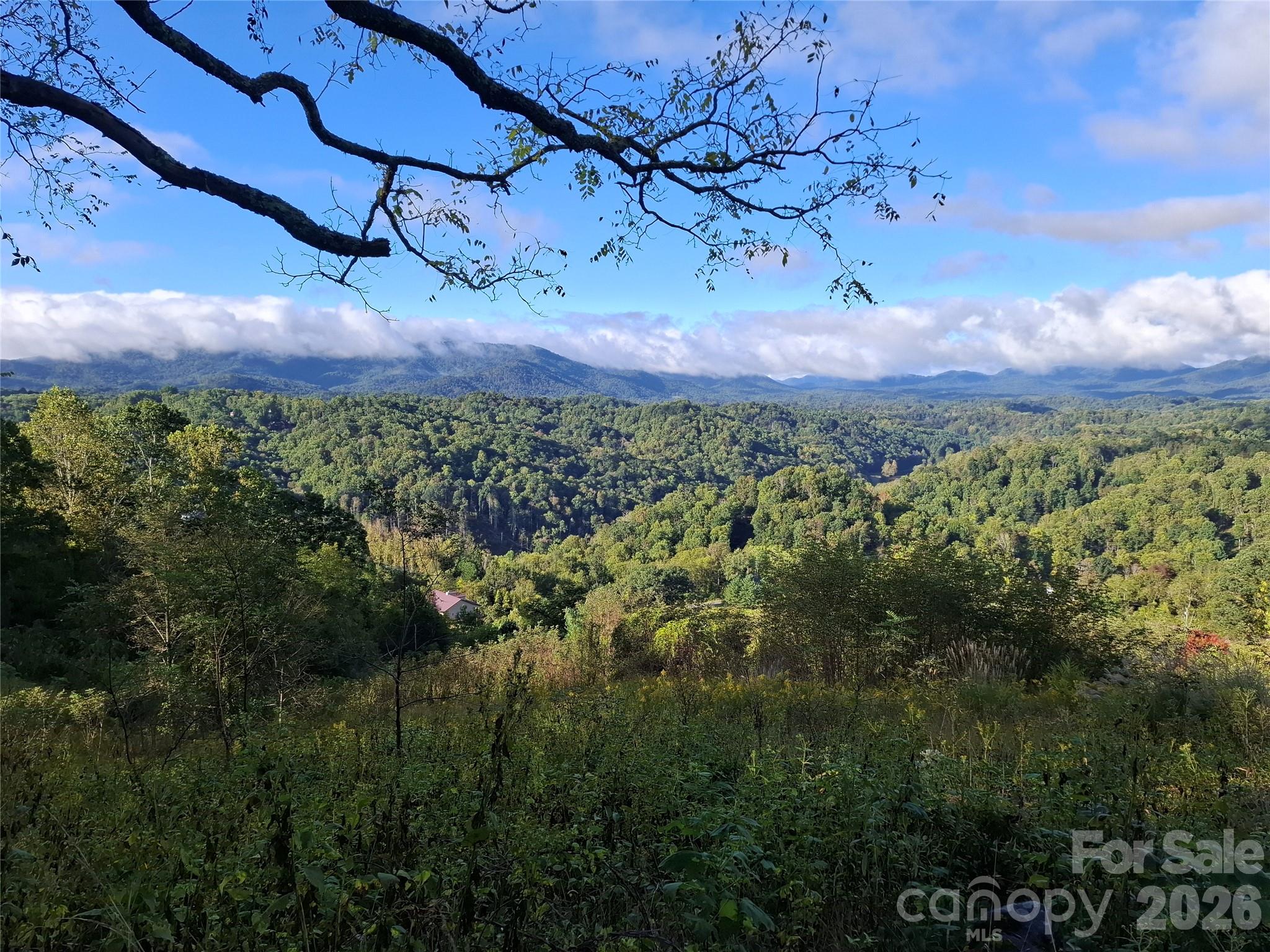 310 Sunset Mountain 11