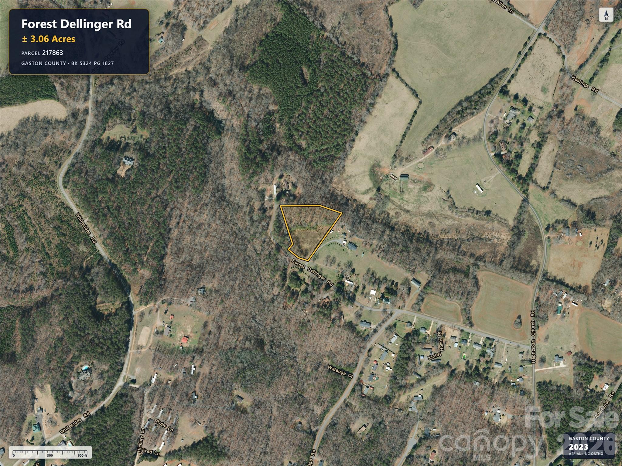 0 Forest Dellinger Road Property Photo 3