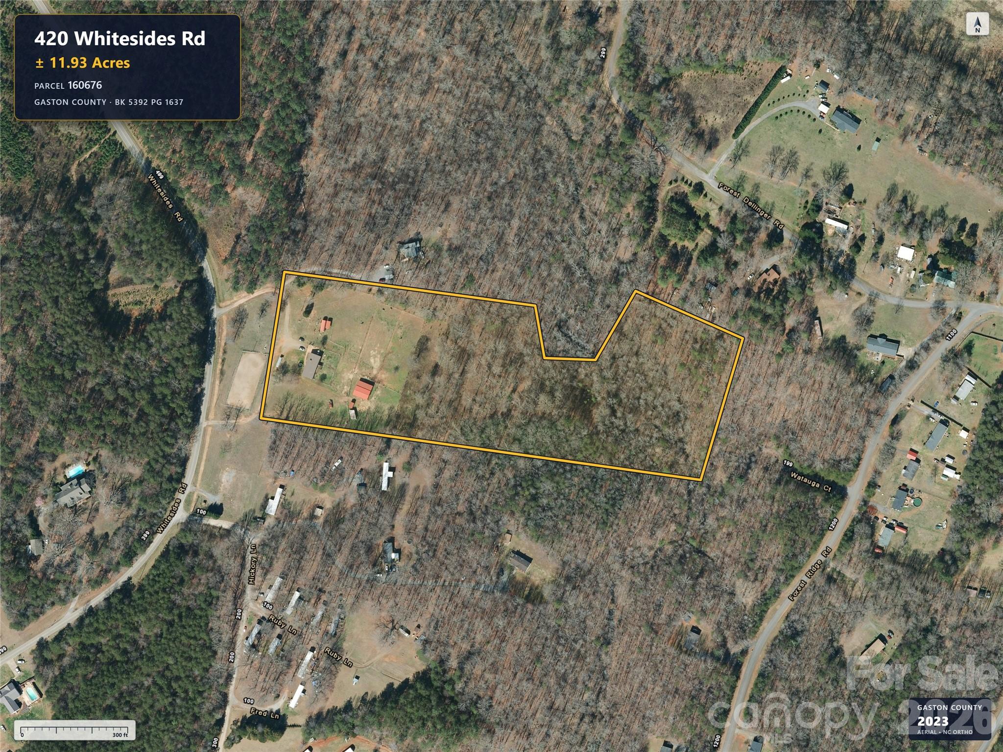 420 Whitesides Road Property Photo 2