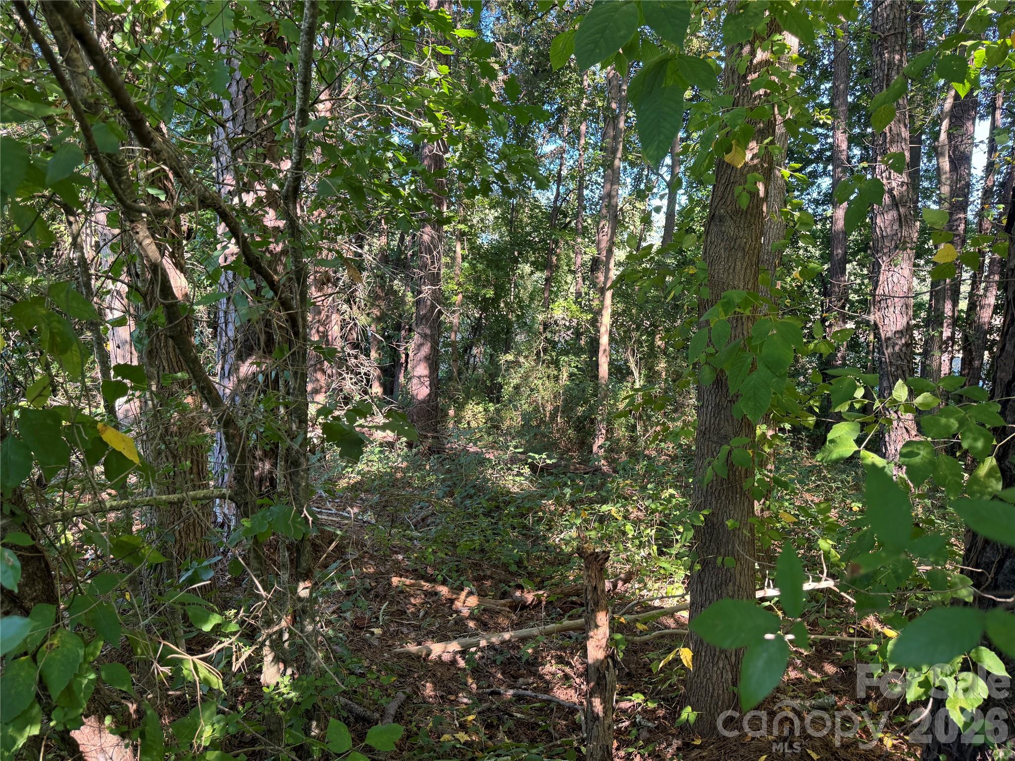 00 Old Hwy 52 Highway Property Photo 11