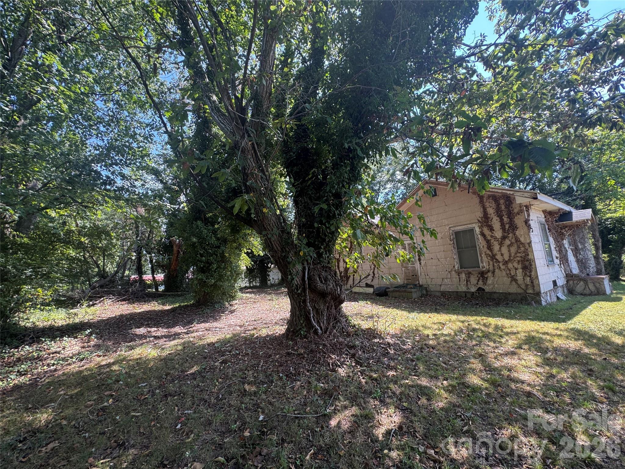 408 E Davidson Avenue Property Photo 3