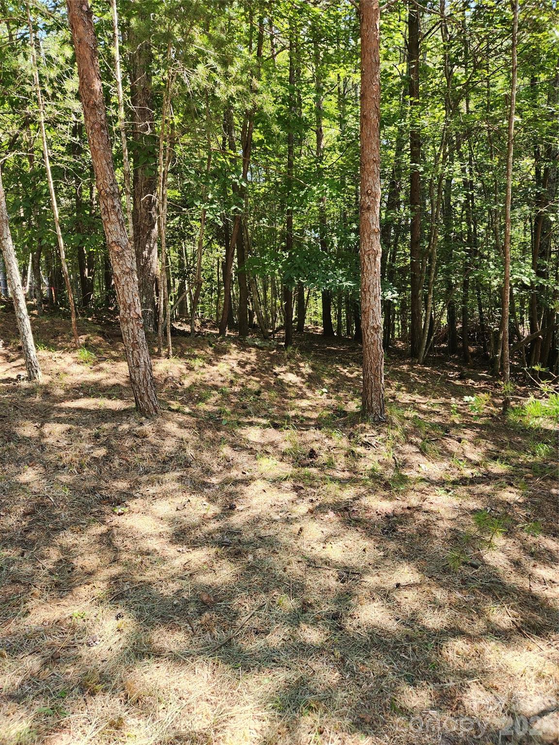 1277 Northview Drive Property Photo 25
