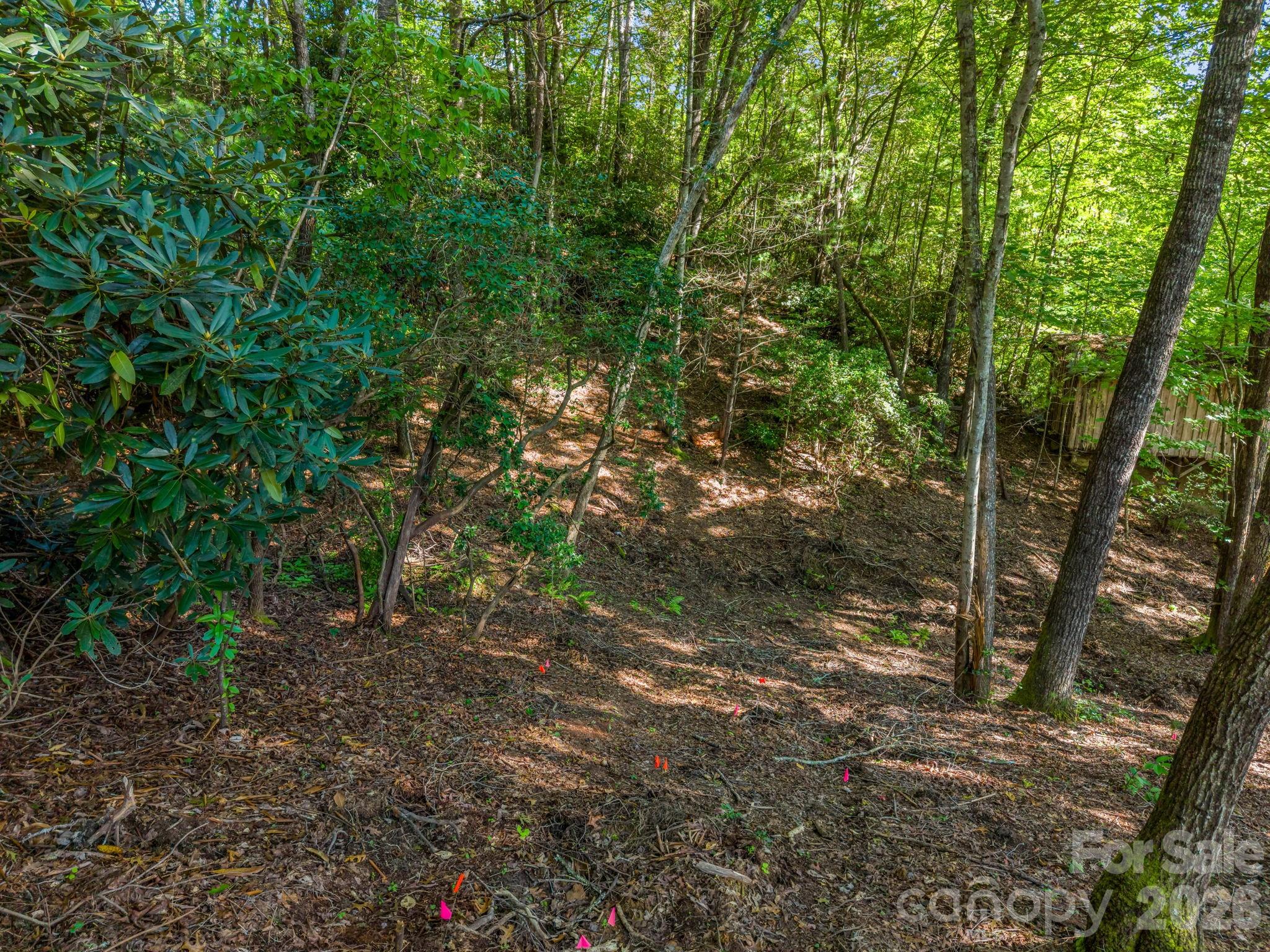 130 Summit Rise Road 9 Property Photo 12