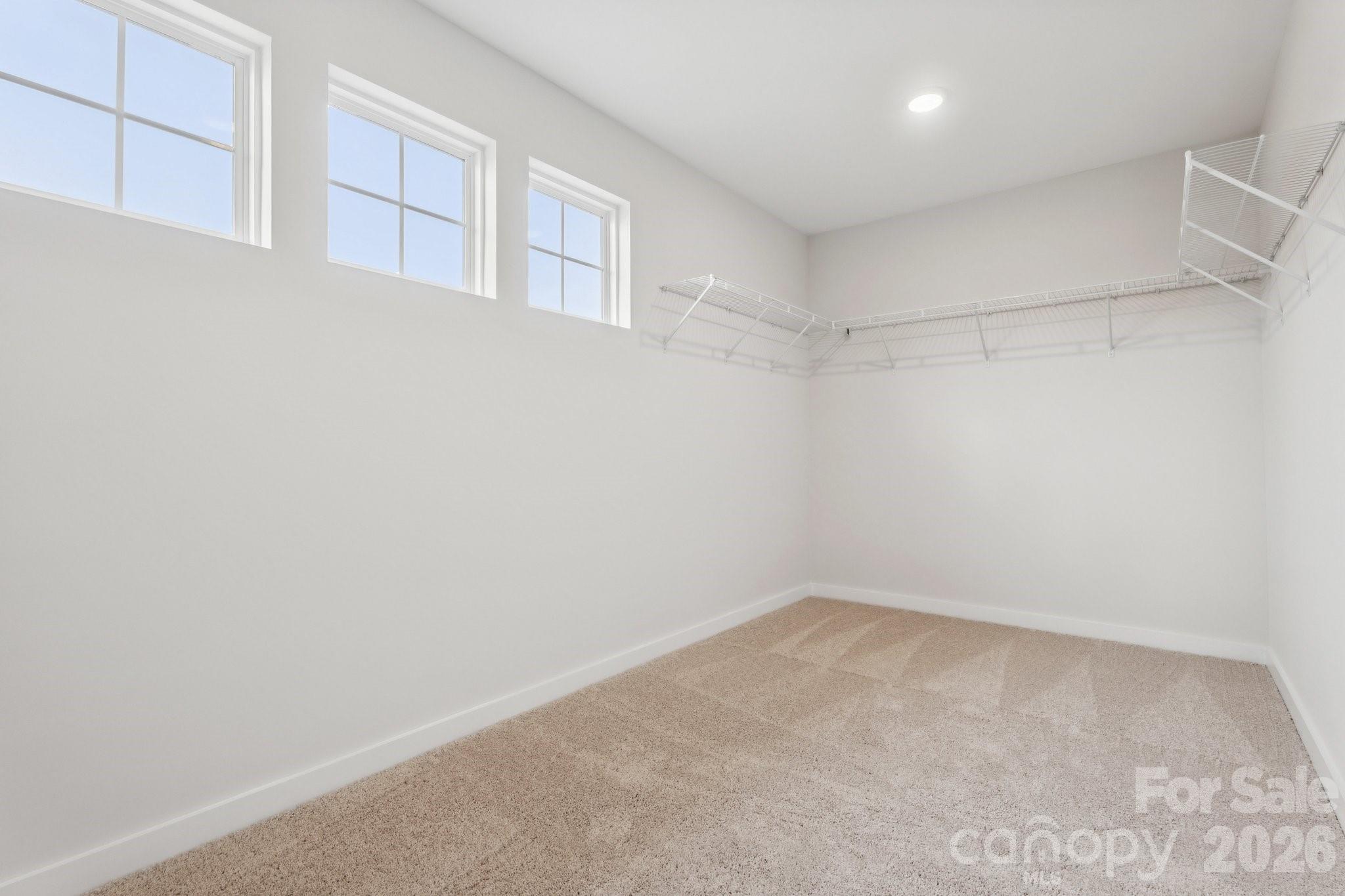 10020 Cannon Vista Lane Property Photo 23