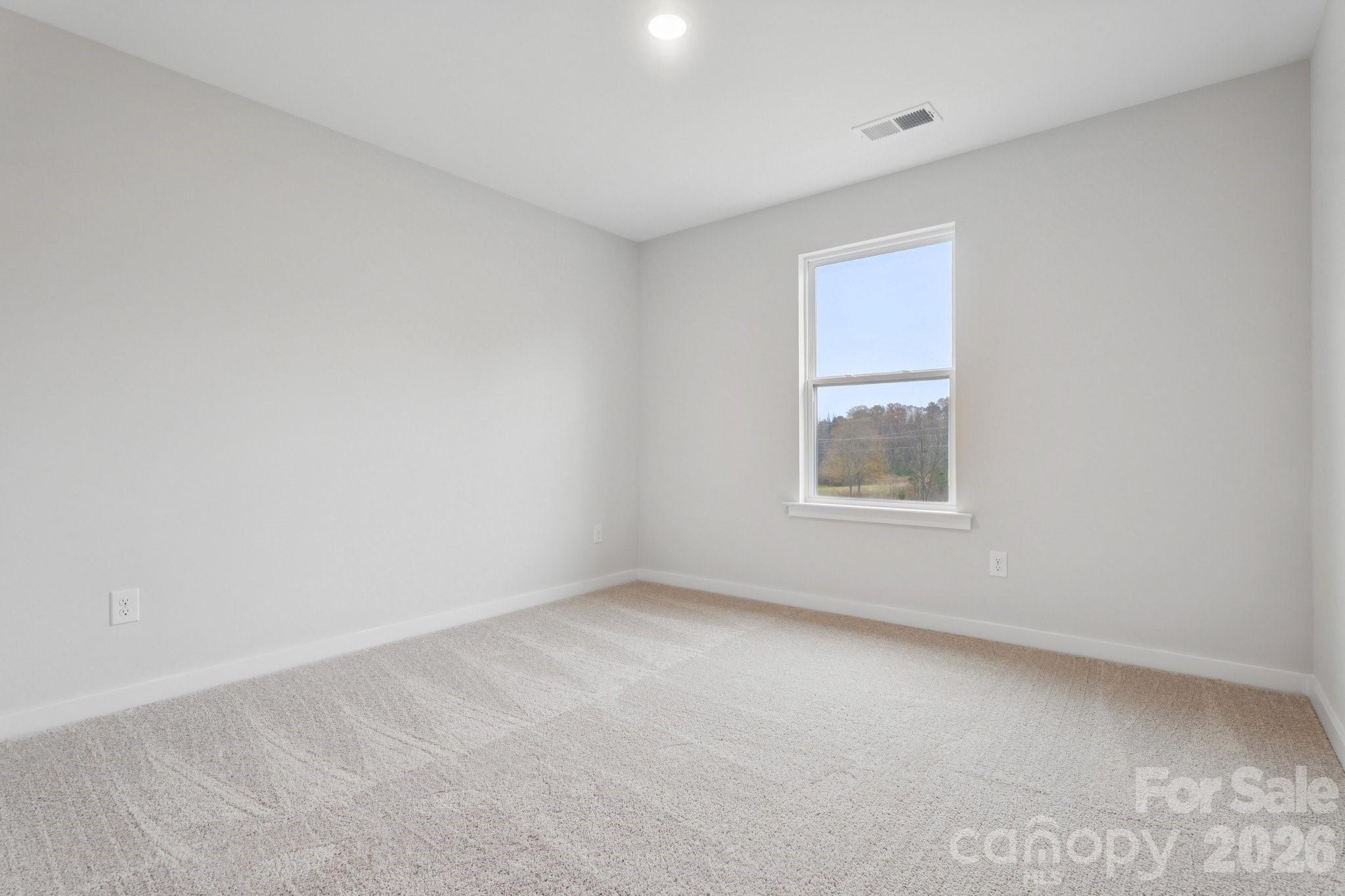 10020 Cannon Vista Lane Property Photo 24