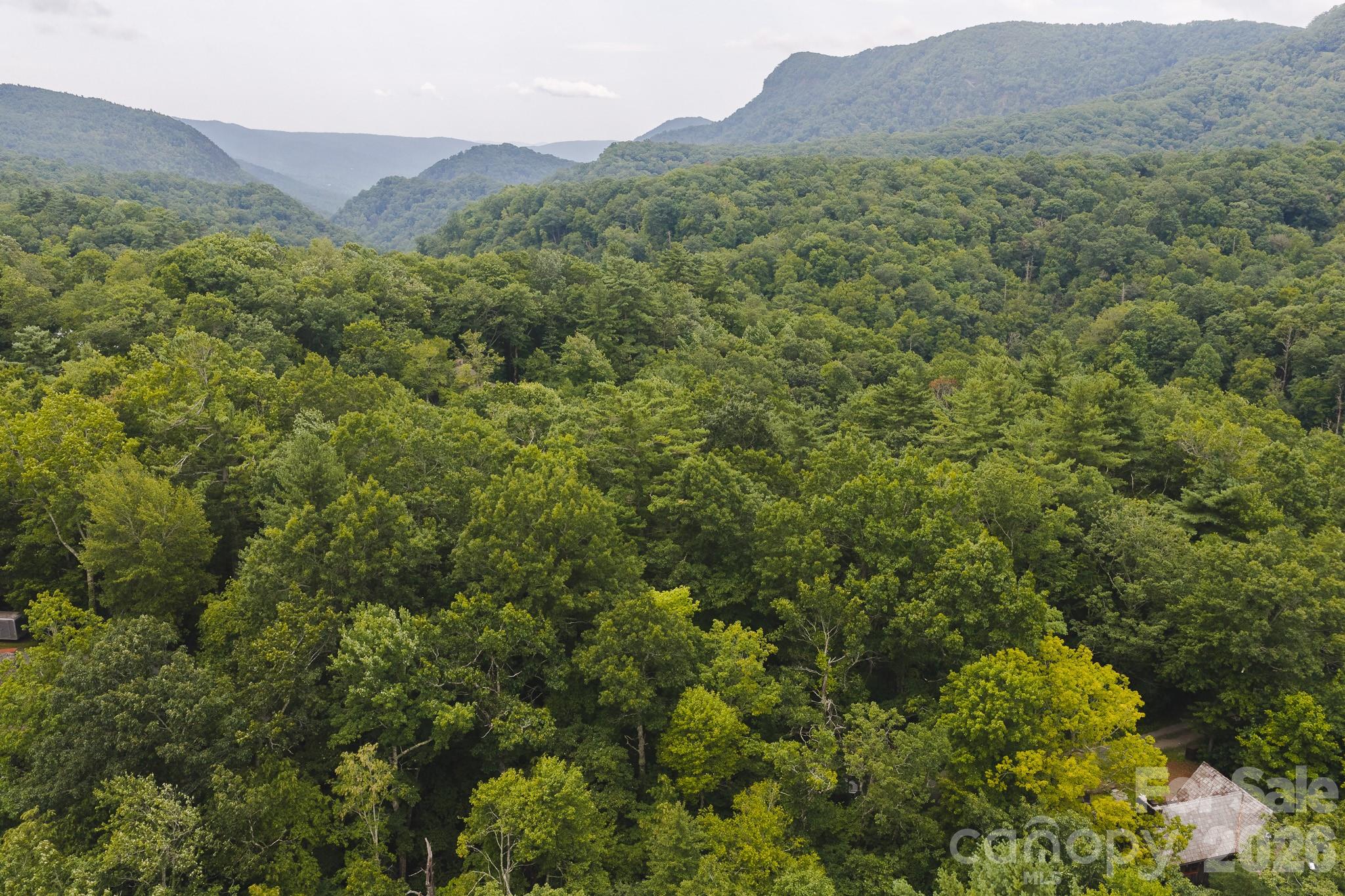 Tbd Yankee Run Property Photo 1