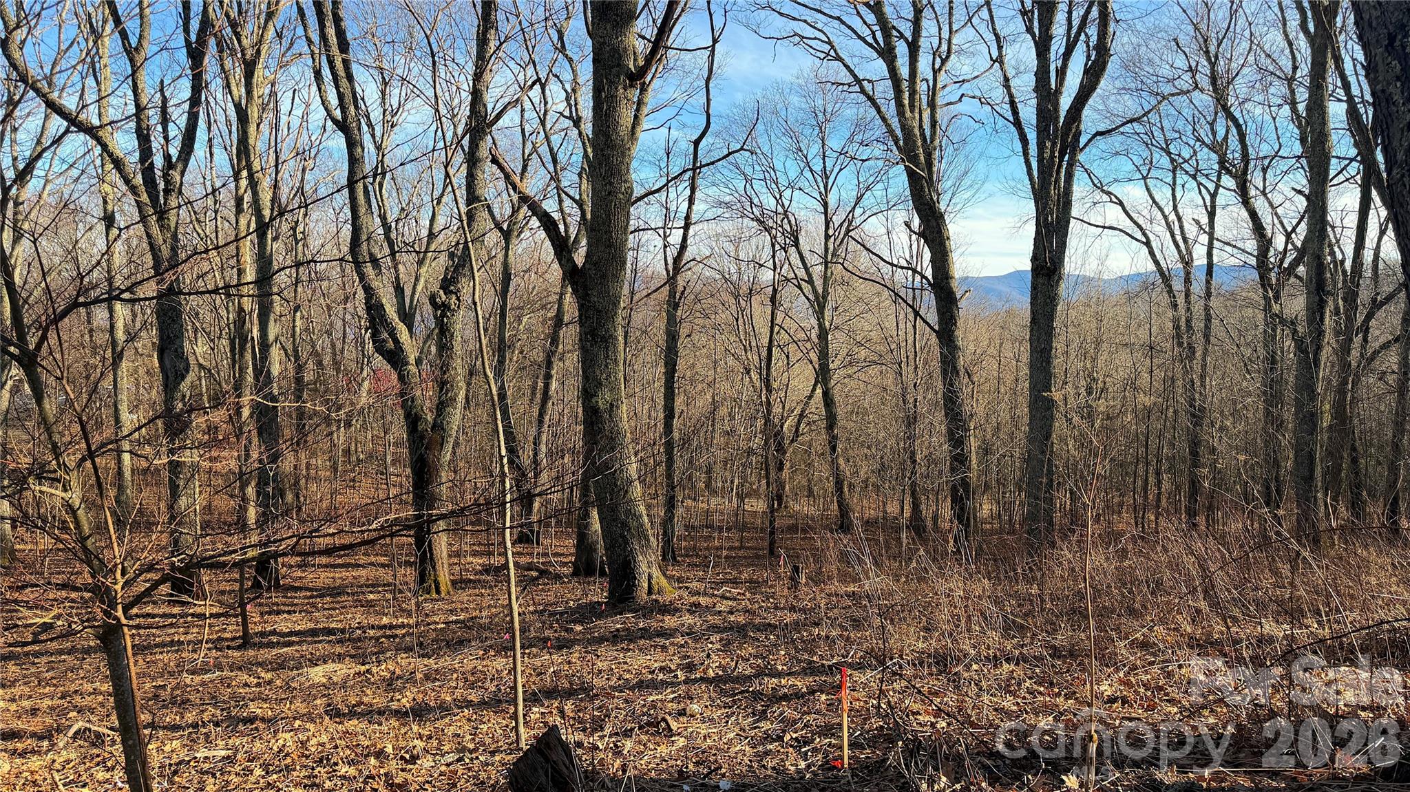 114 Eagle View Circle Property Photo 2