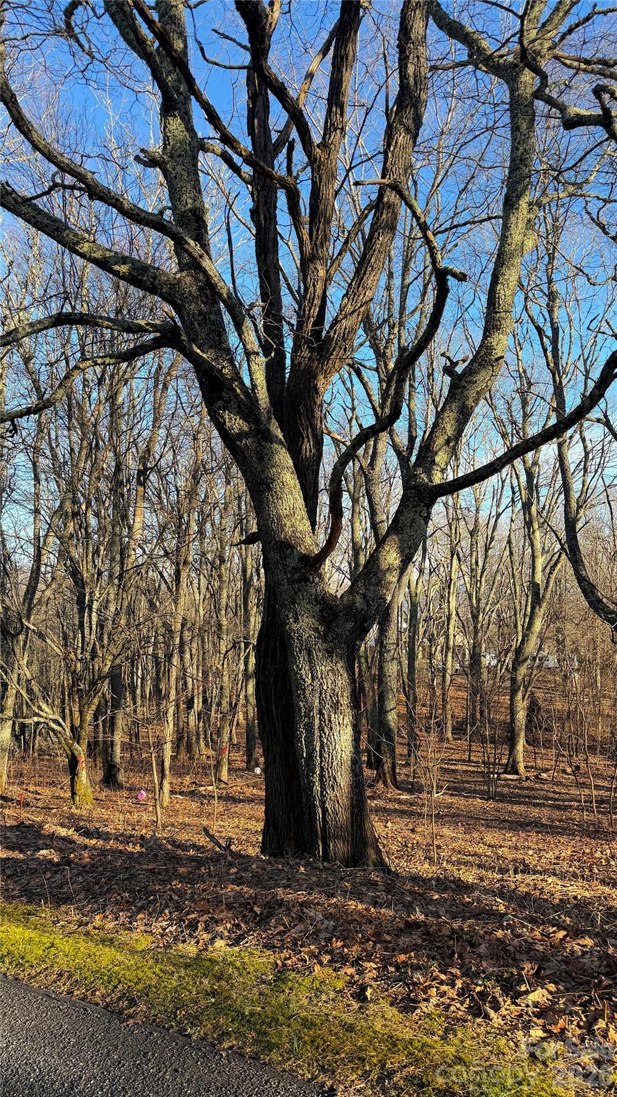114 Eagle View Circle Property Photo 3