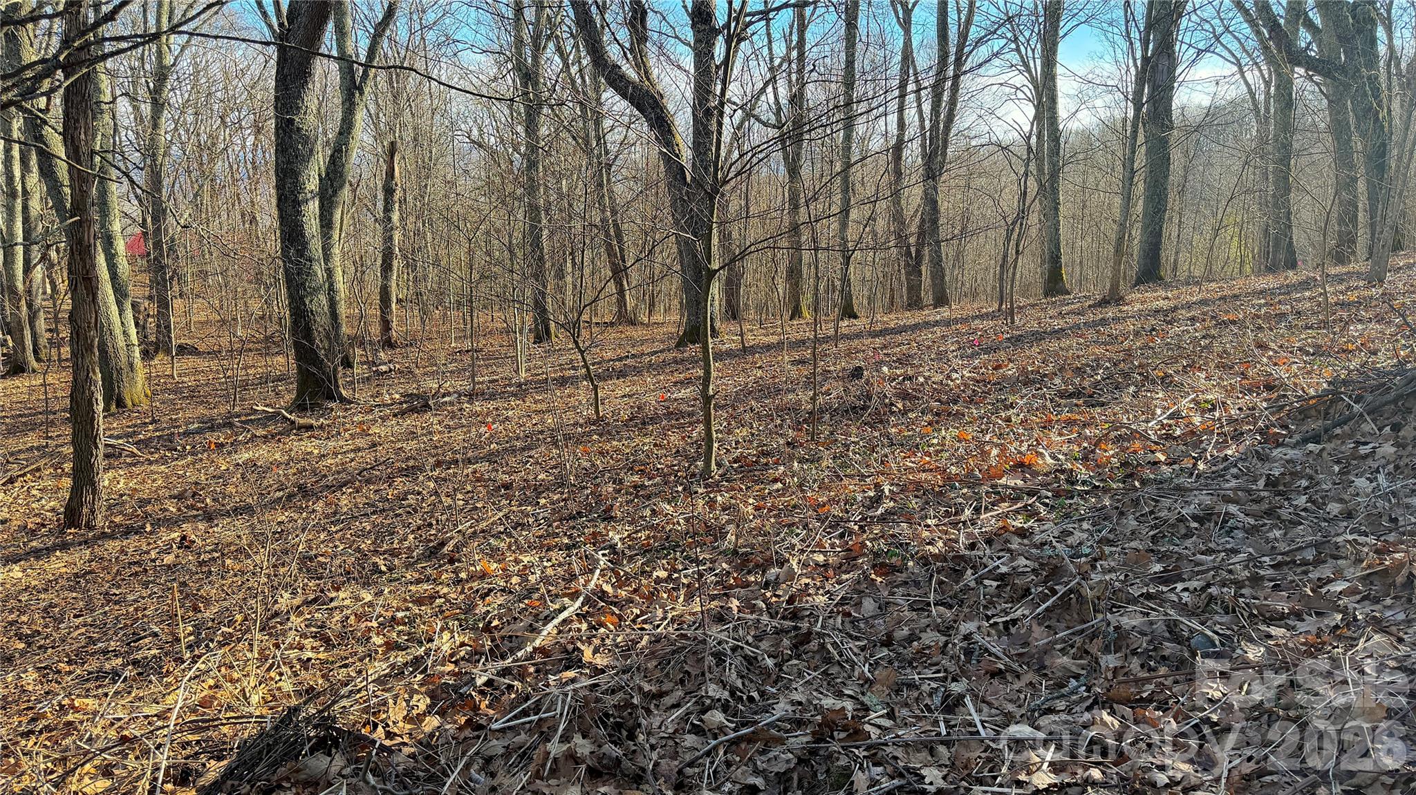 114 Eagle View Circle Property Photo 4