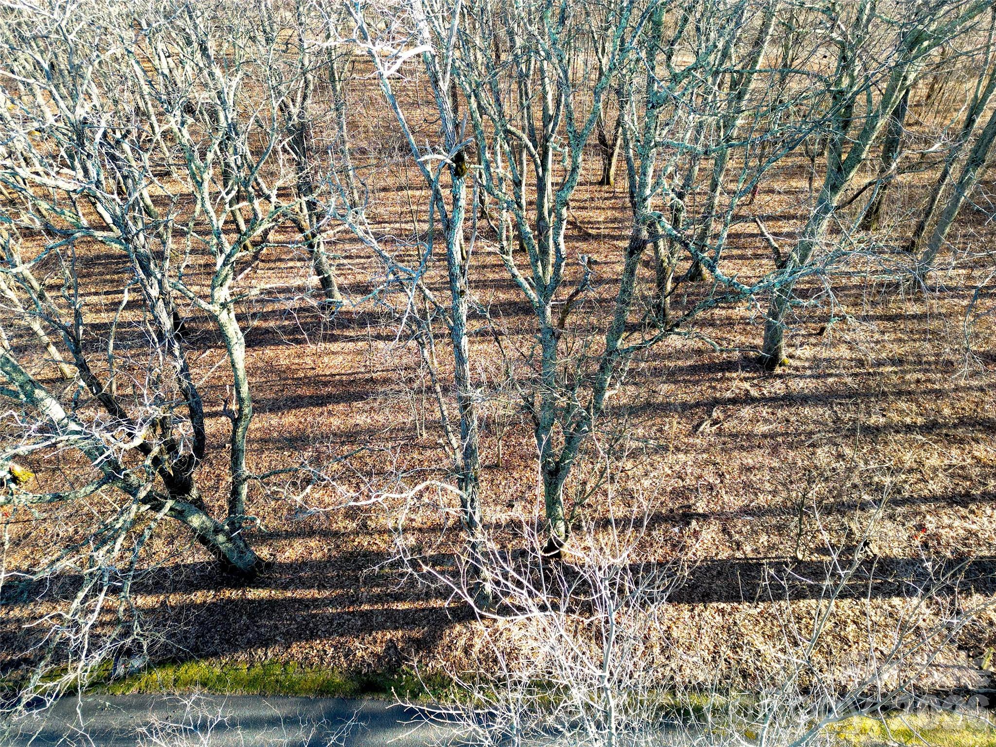 114 Eagle View Circle Property Photo 5