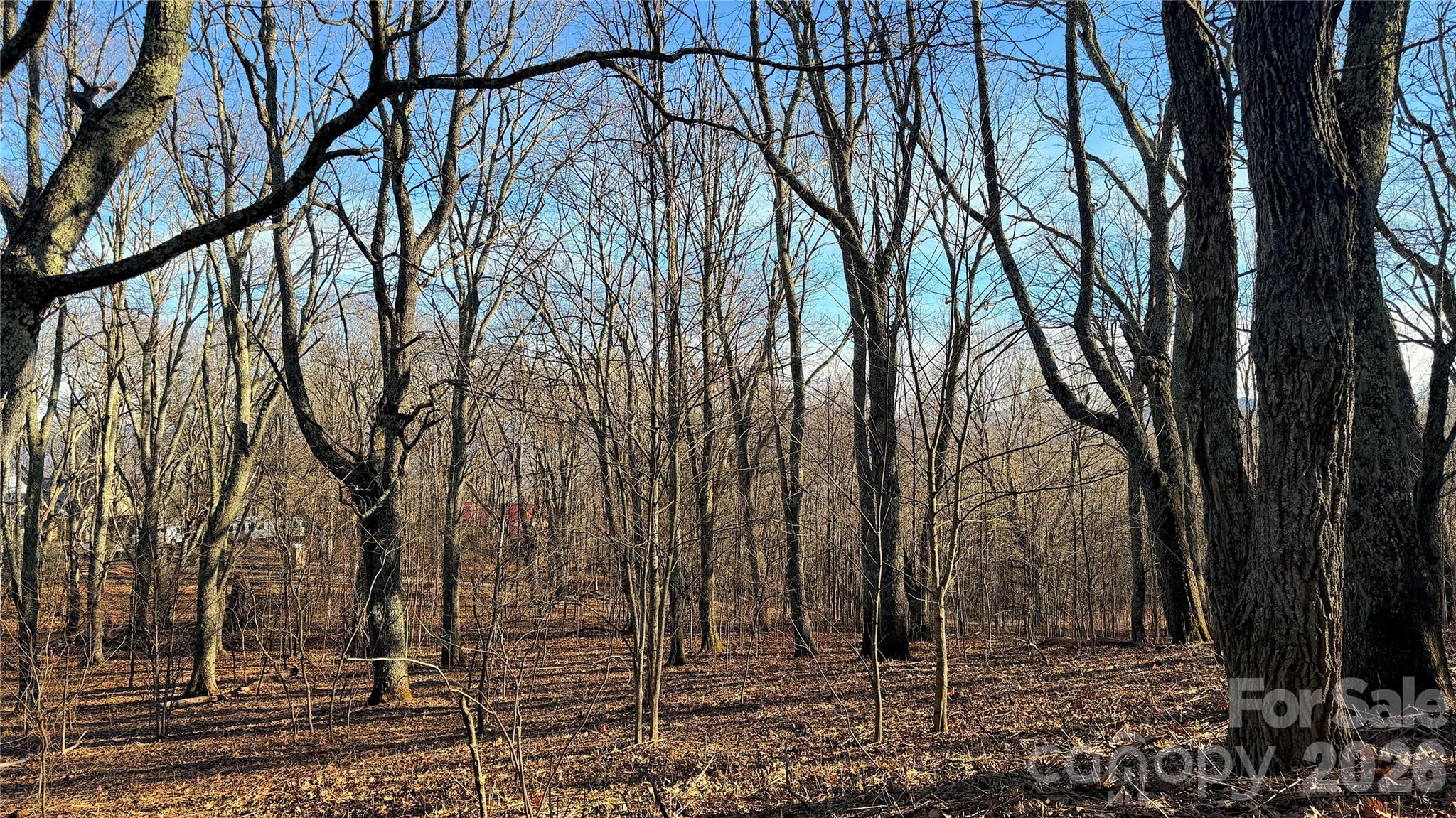 114 Eagle View Circle Property Photo 11