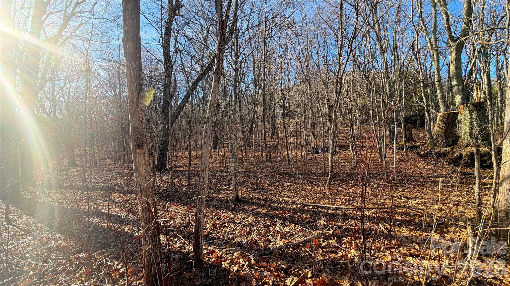 114 Eagle View Circle Property Photo 21