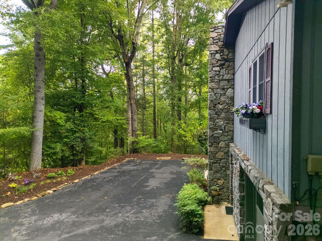 239 Three Mile Knob Road Property Photo 4