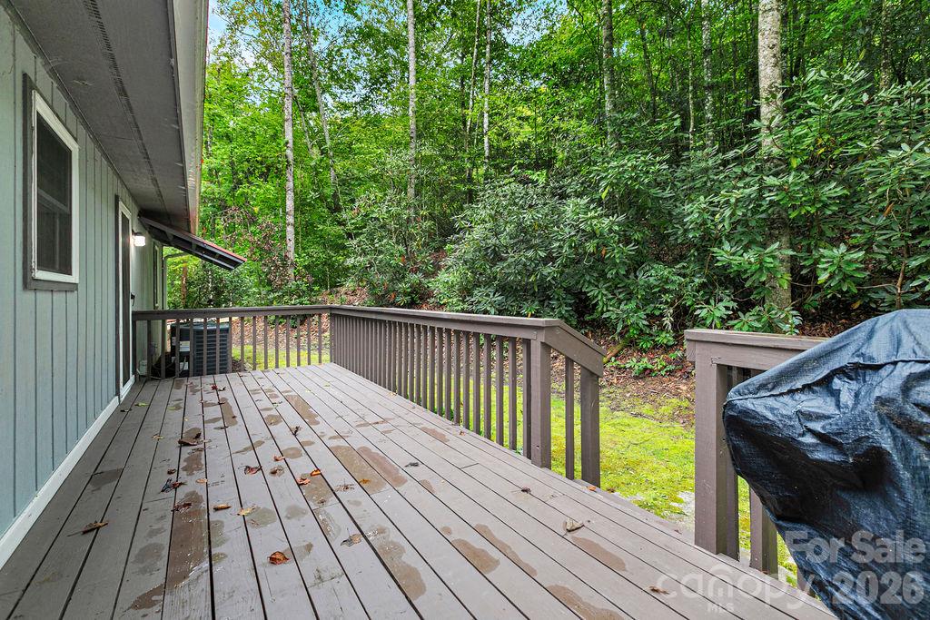 239 Three Mile Knob Road Property Photo 17