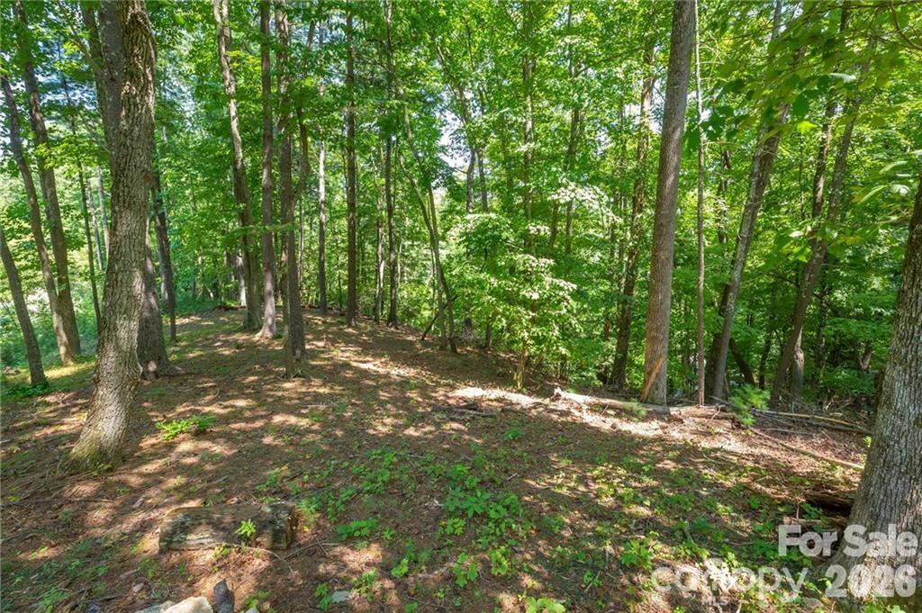 8520 Indian Trace Property Photo 2