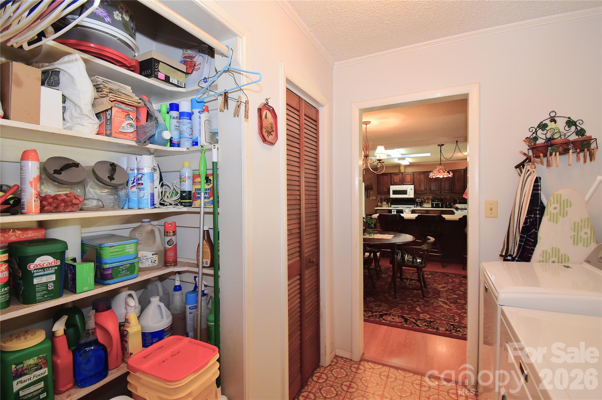 39 Maynard Road Property Photo 19