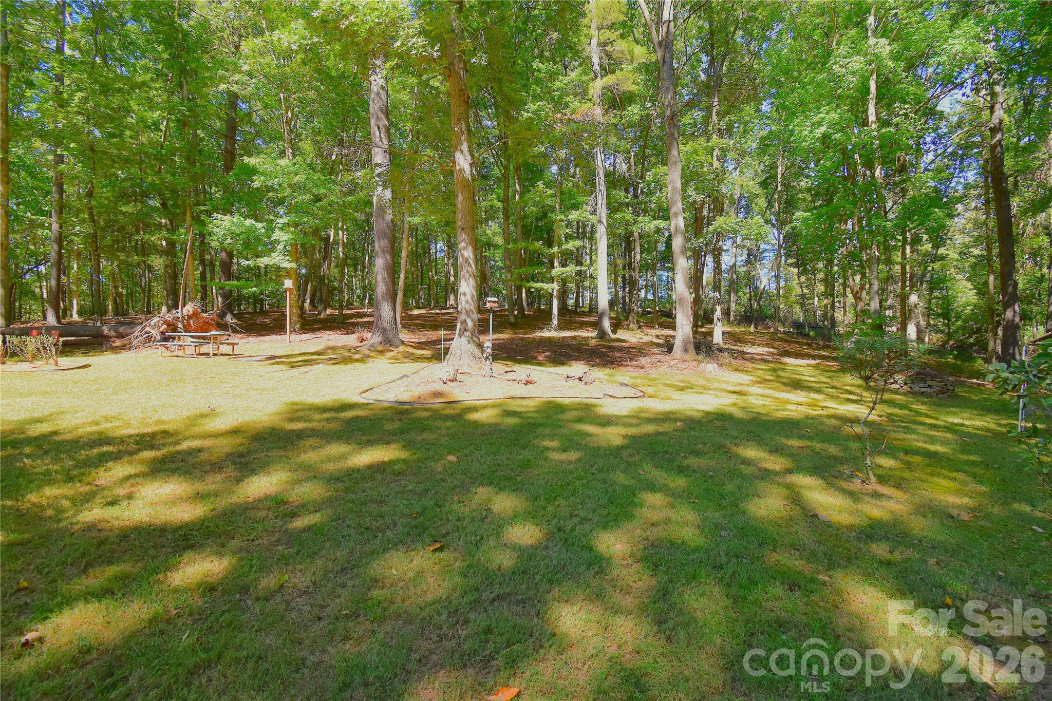 39 Maynard Road Property Photo 37