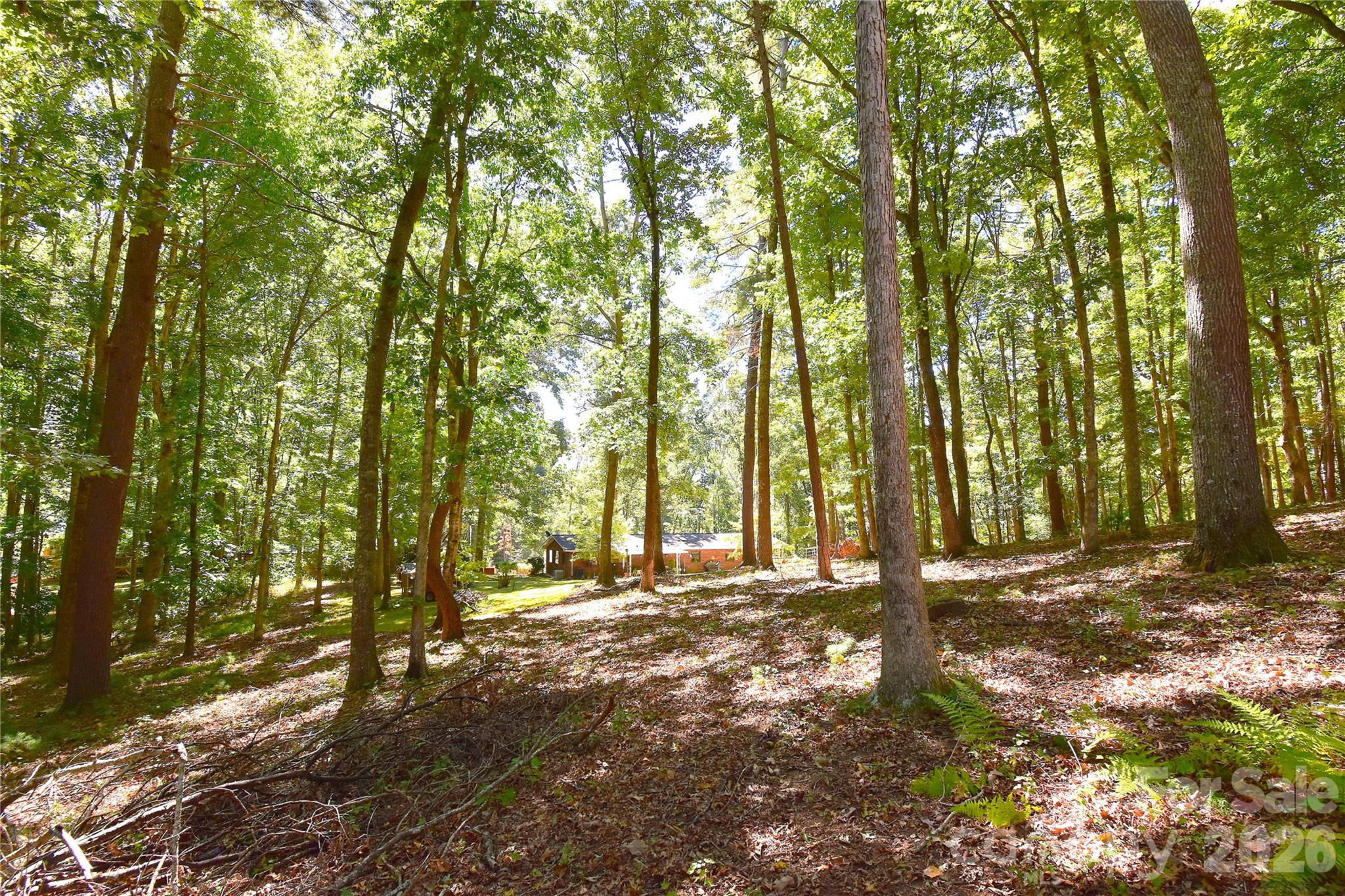 39 Maynard Road Property Photo 41