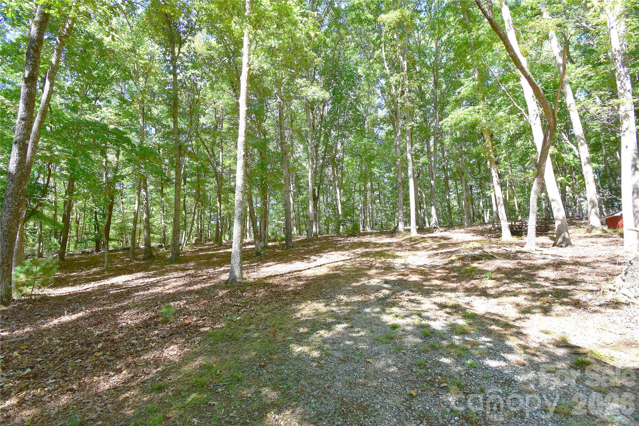 39 Maynard Road Property Photo 44