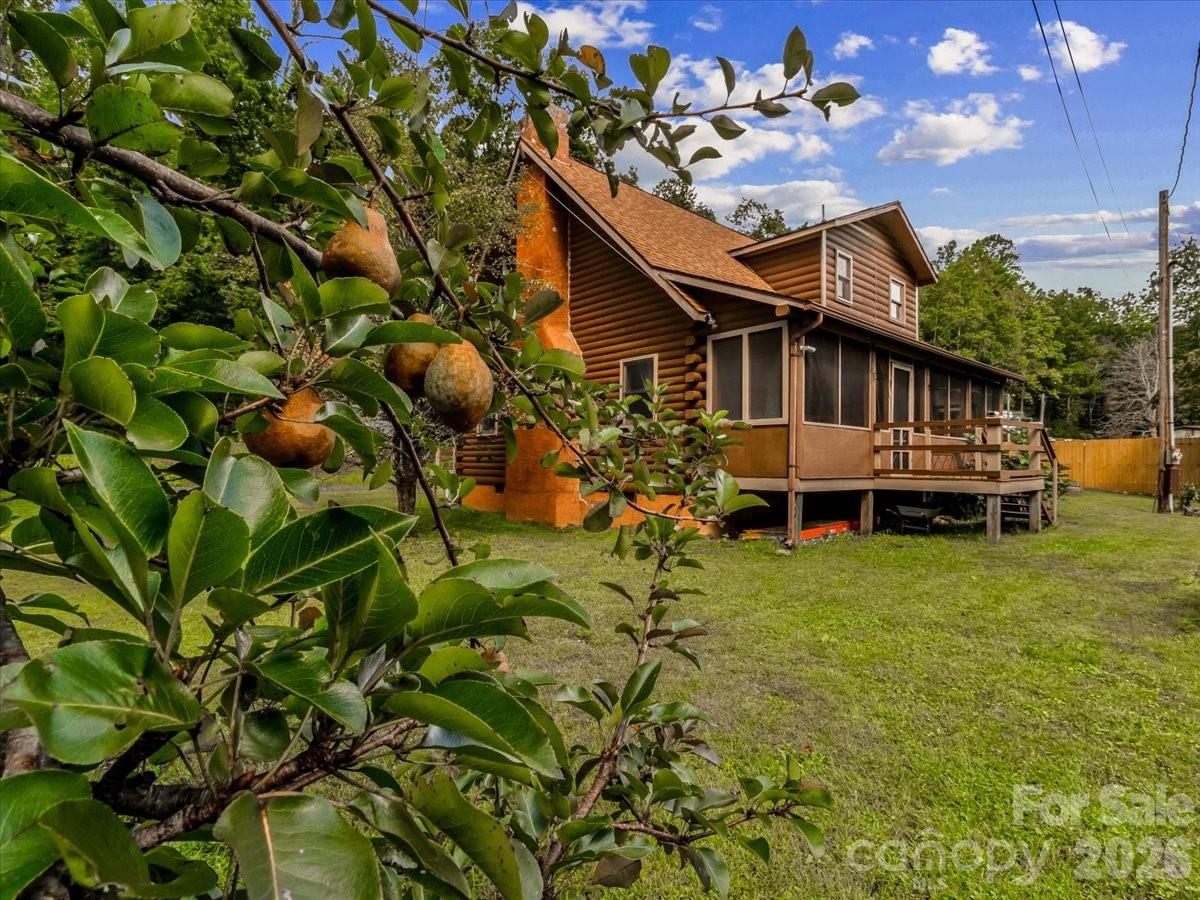 3206 Fork Mountain Road Property Photo 3