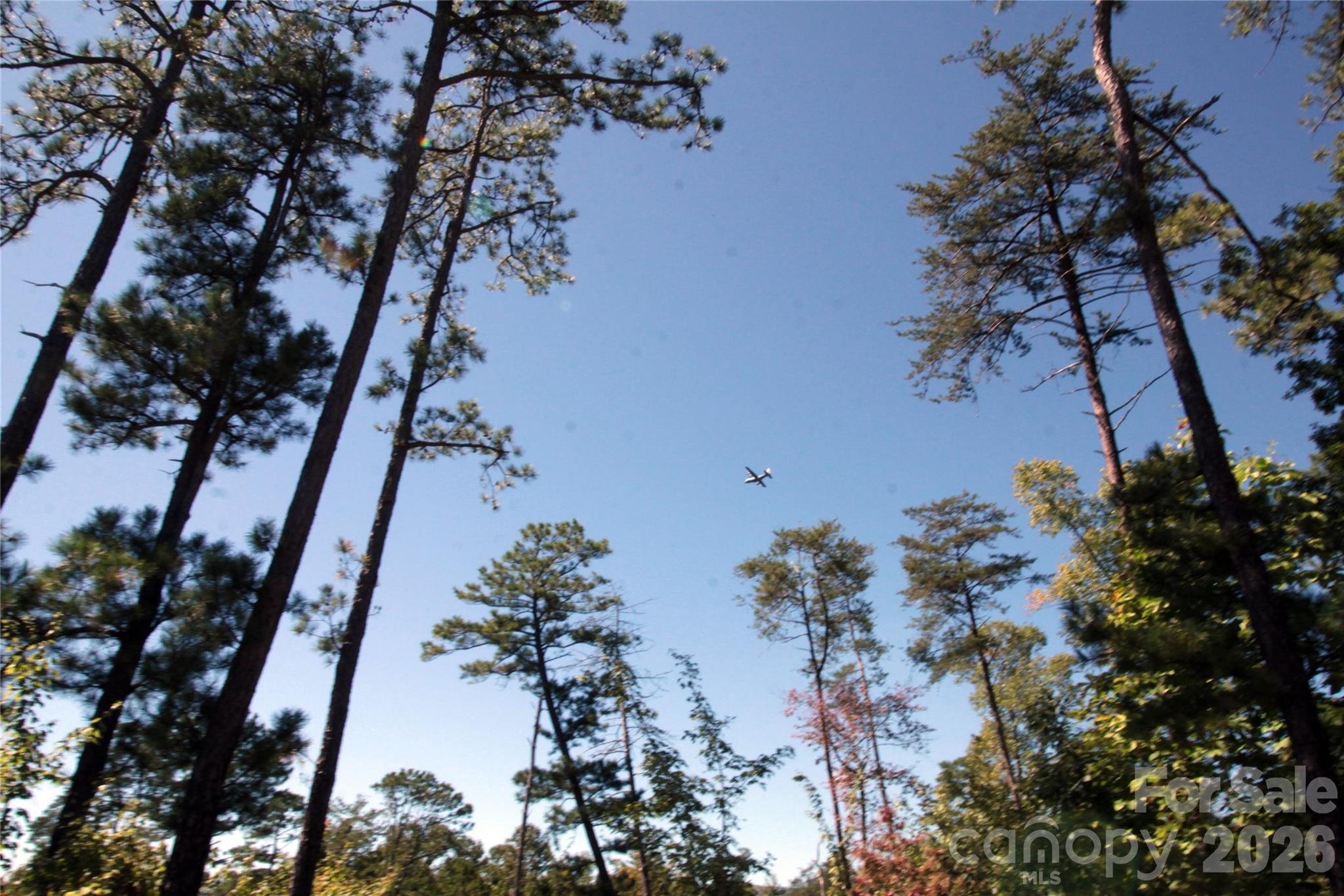 Lot 25 Round Mountain Road 25 Property Photo 8