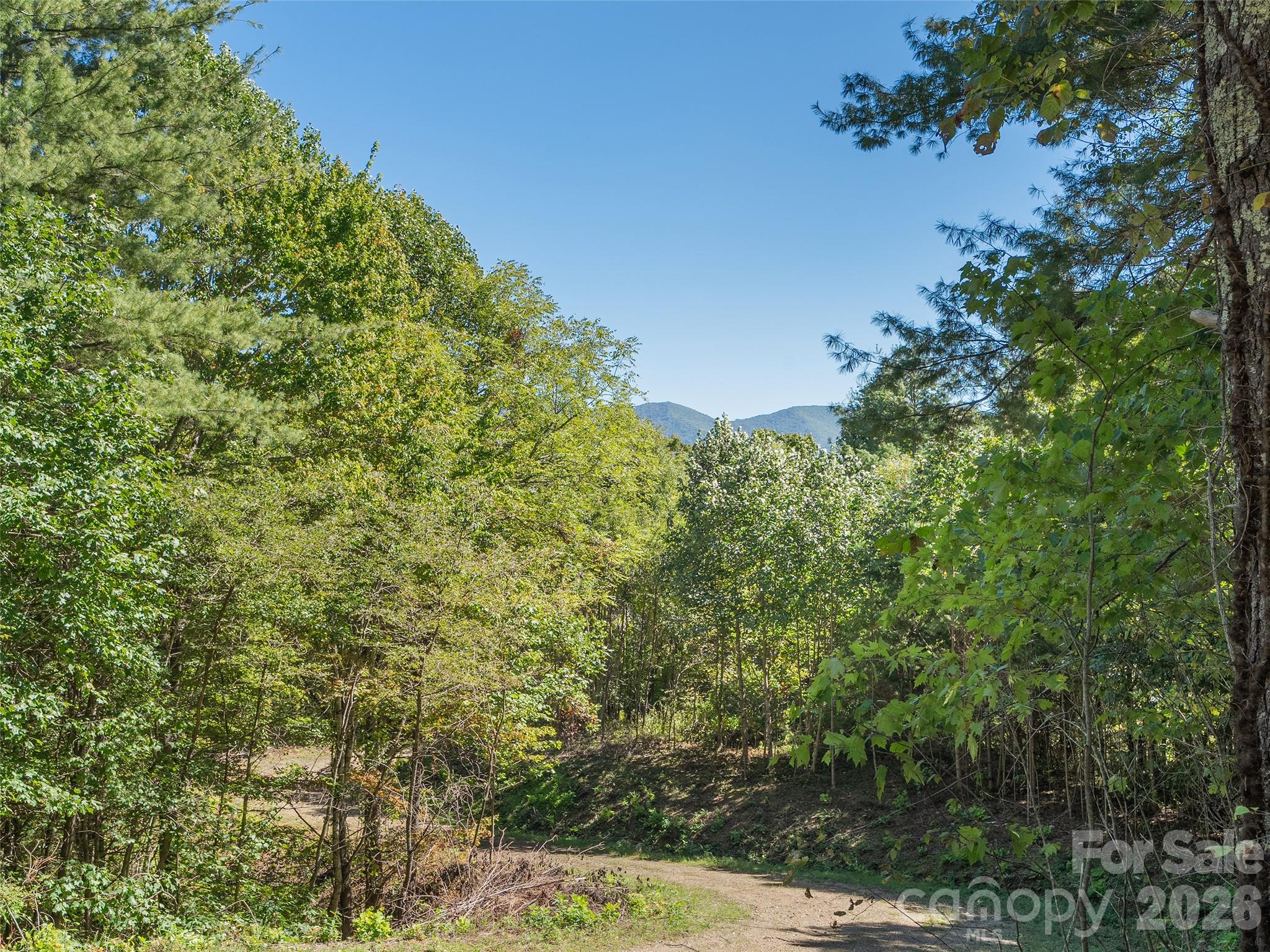00 Mcnary Drive Property Photo 16
