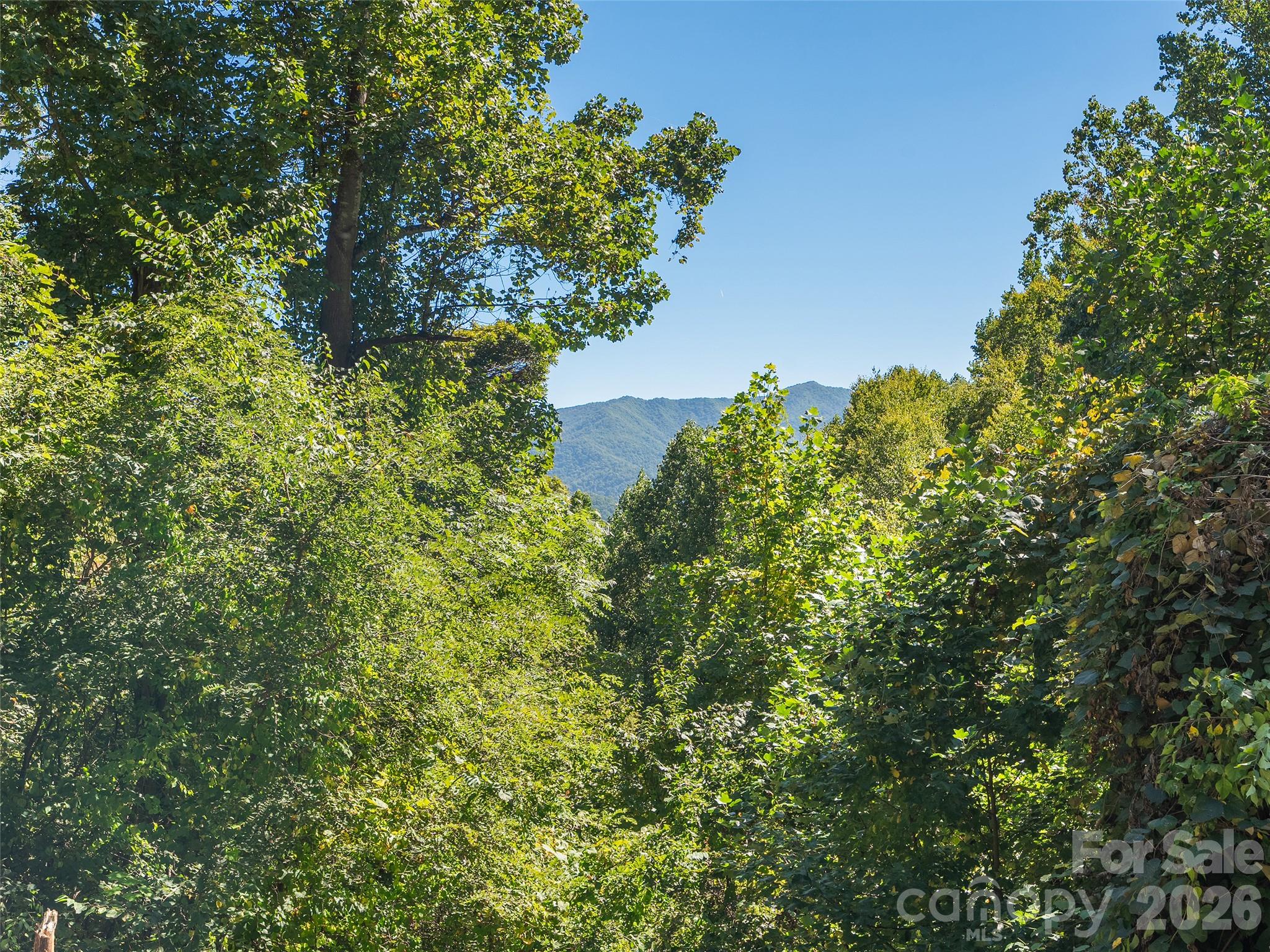 00 Mcnary Drive Property Photo 18