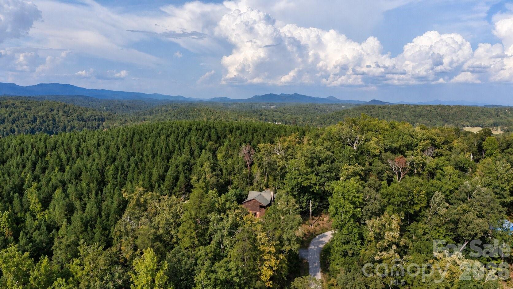 259 Travelers Rest Lane Property Photo 36