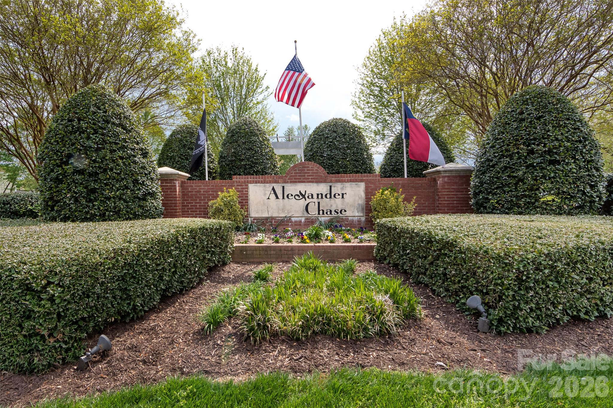 9031 Mcdowell Creek Court Property Photo 39
