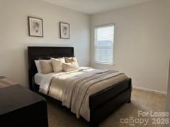 4428434 Property Photo 14