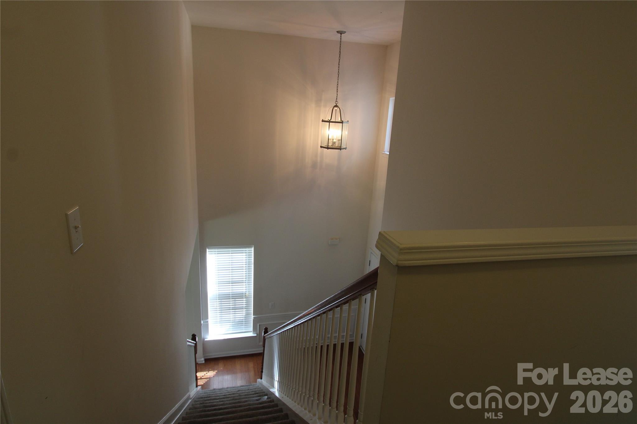 11103 Cypress View Drive 239 Property Photo 43