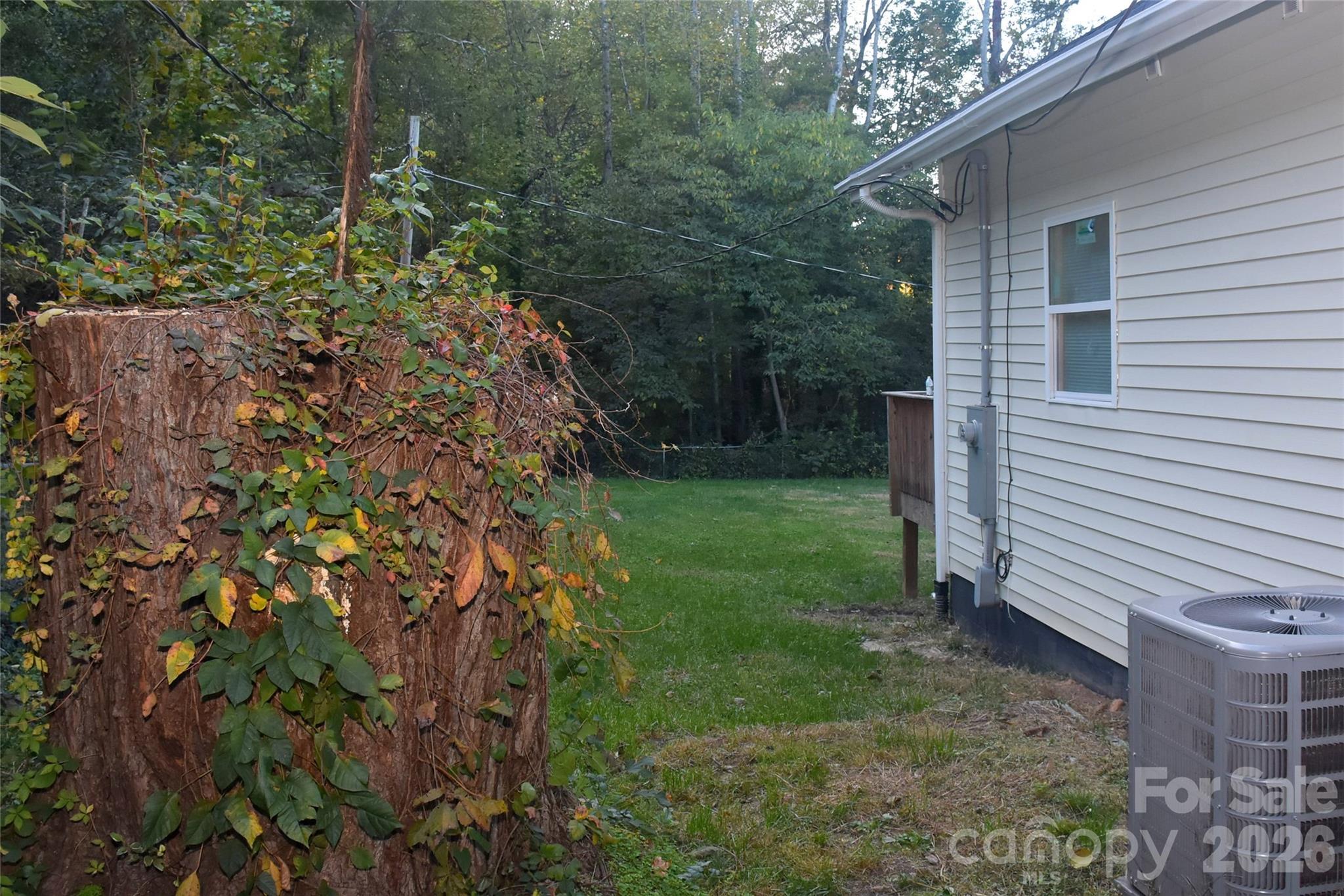 16 Cauthen Street Property Photo 36
