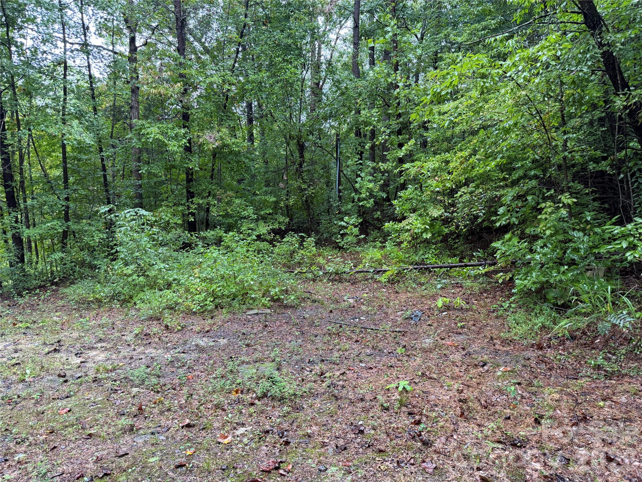3865 Hickory Highway Property Photo 3
