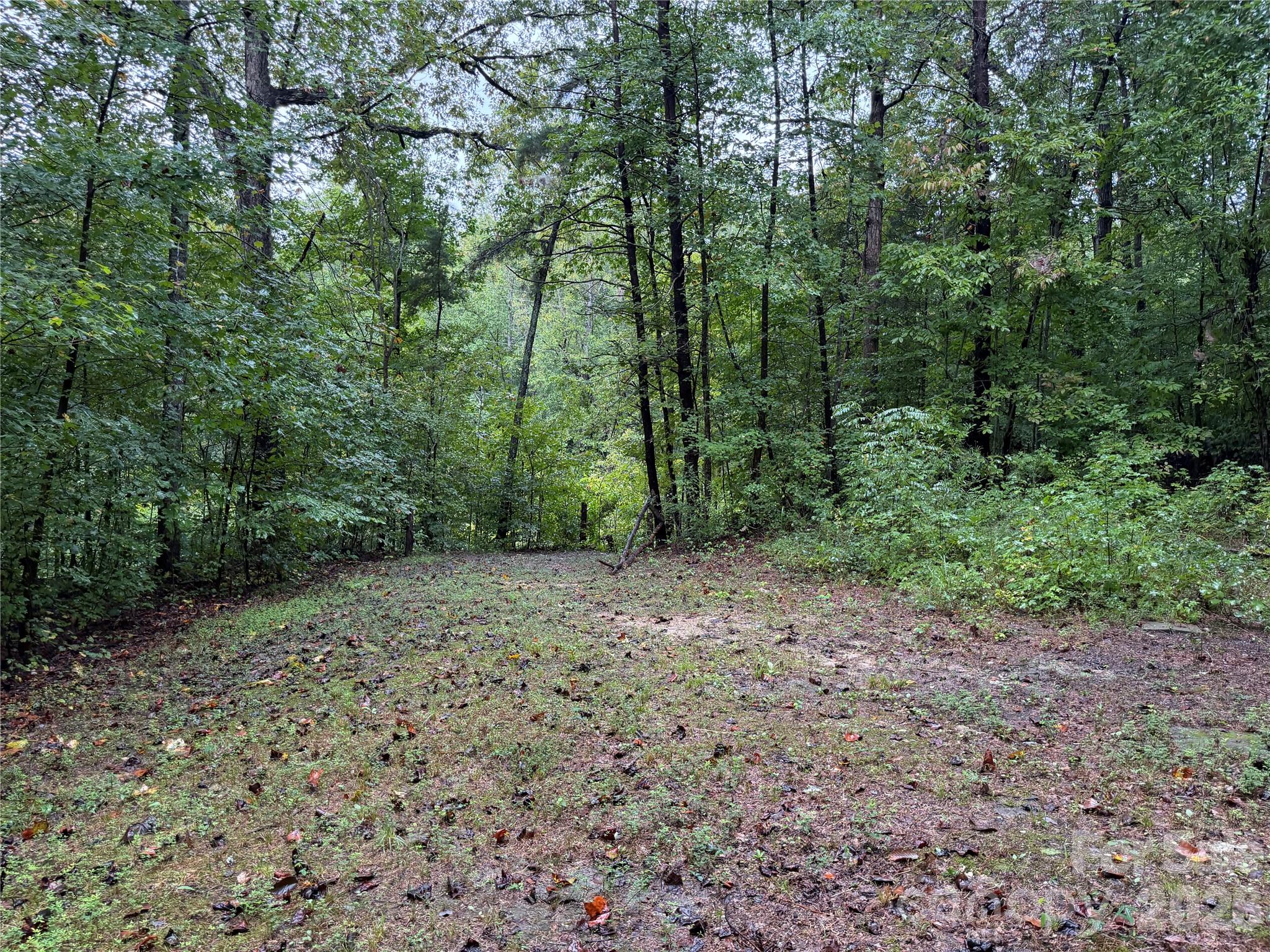 3865 Hickory Highway Property Photo 4